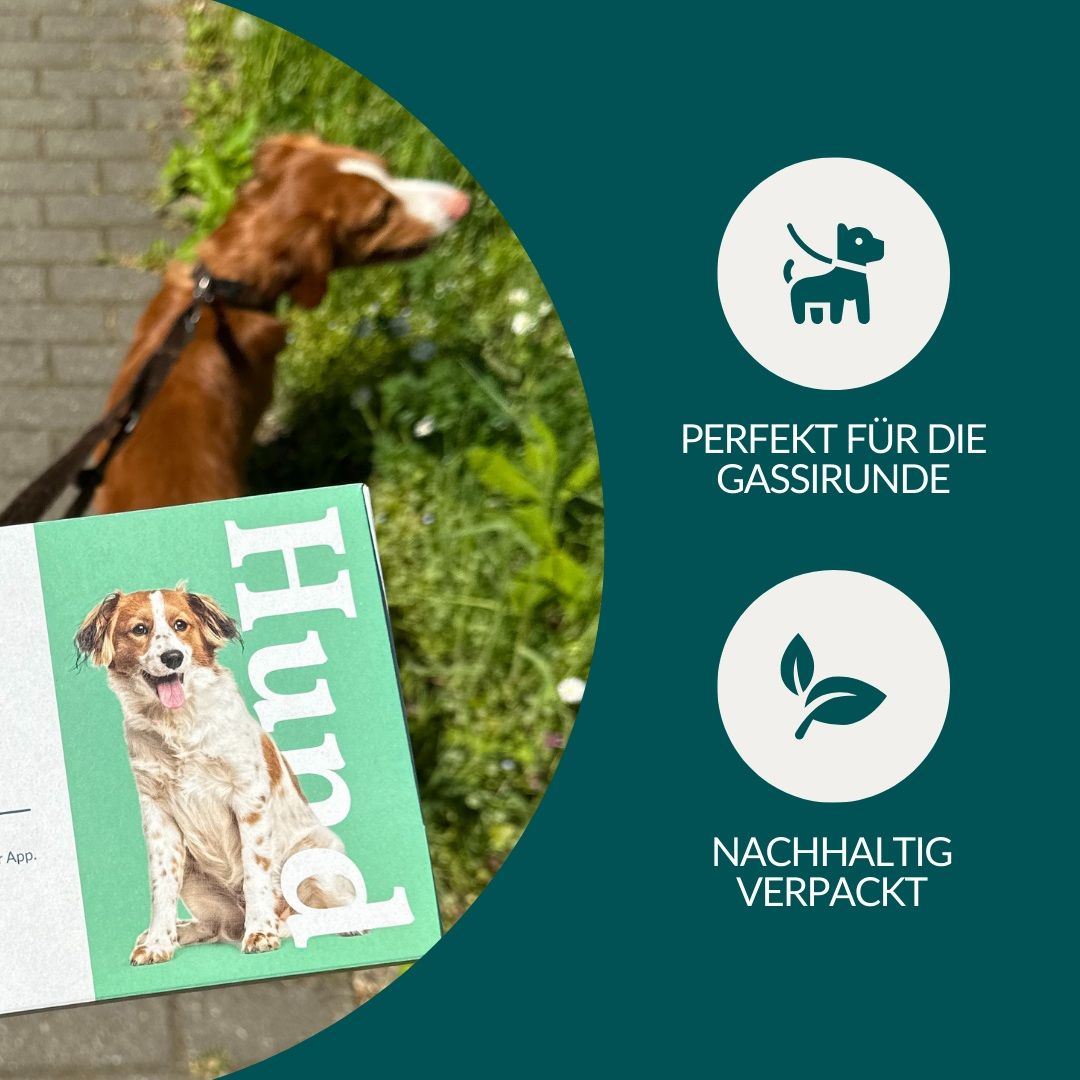 Hund auf einer grünen Wiese mit einem Testkit-Karton. Icons: Hund an Leine, Blatt.