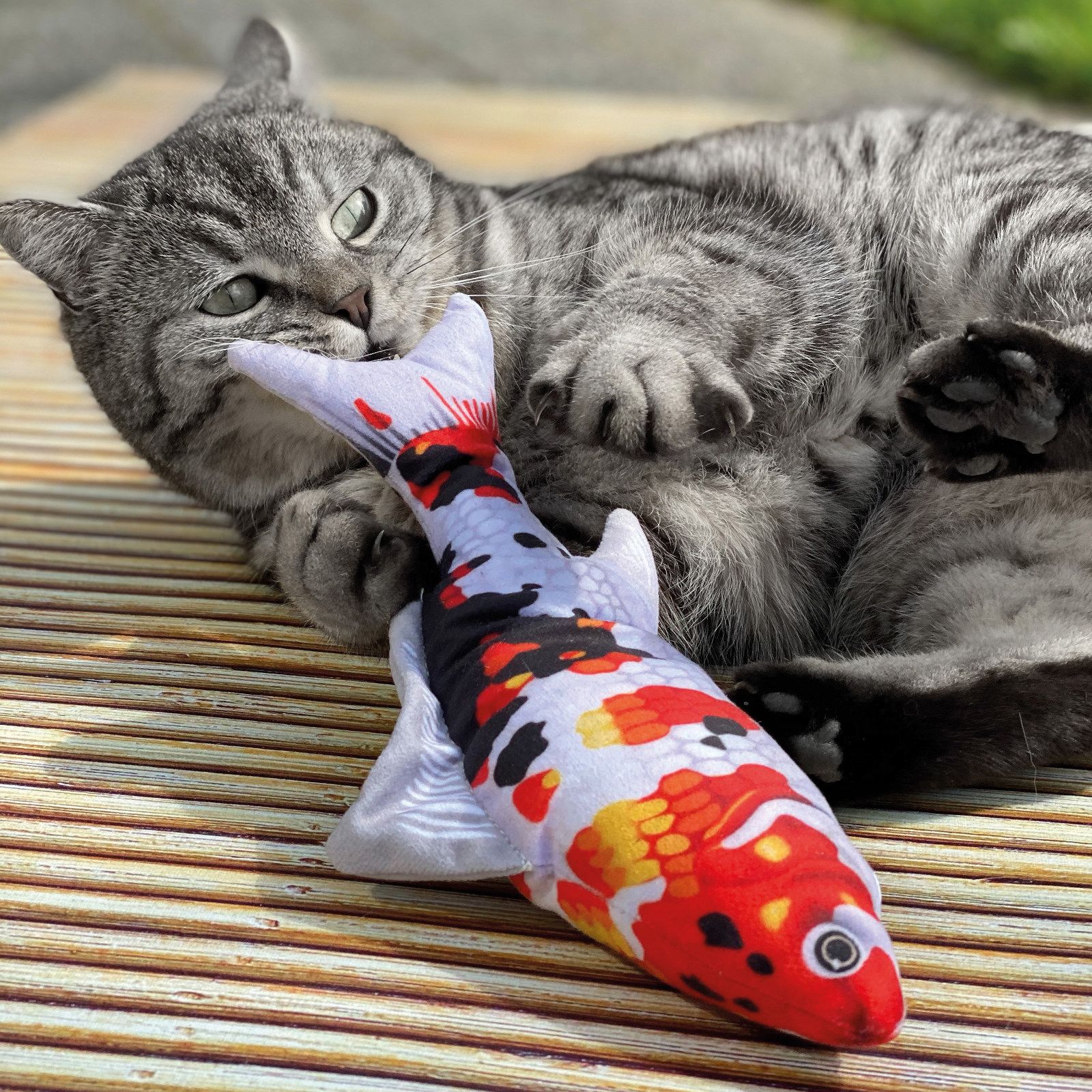 Aumüller Katzenspielzeug Koi - Zappel-Fisch mit Katzenminze