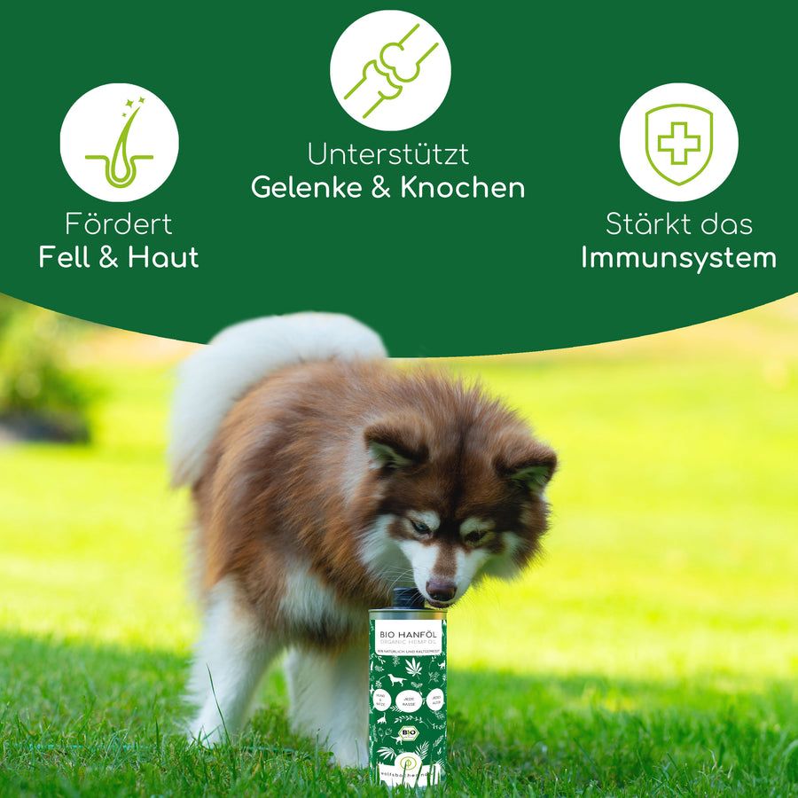 Wolfsbacher Natur Bio Hanföl