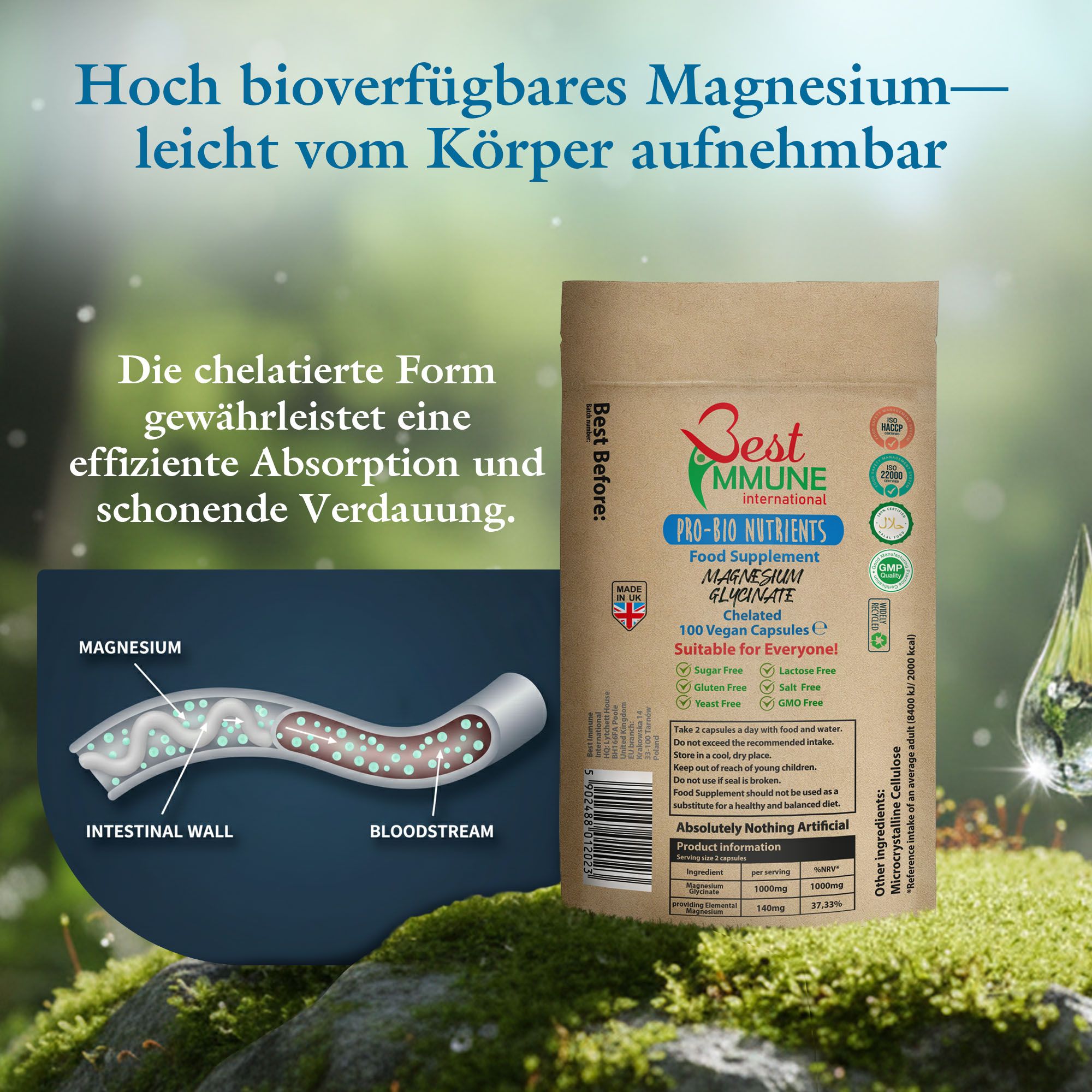 Magnesiumglycinat-Kapseln: schematische Darstellung der Aufnahme im Darm und Blutkreislauf.