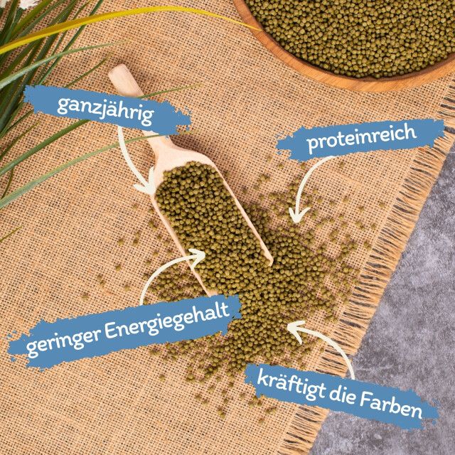 Grüne Pellets auf Holzschaufel und in Schale. Text: ganzjährig, proteinreich, geringer Energiegehalt, kräftigt die Farben.