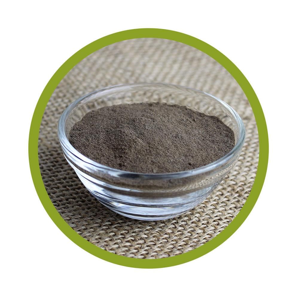 Glasschale mit braunem Pulver, umrandet von einem grünen Kreis.