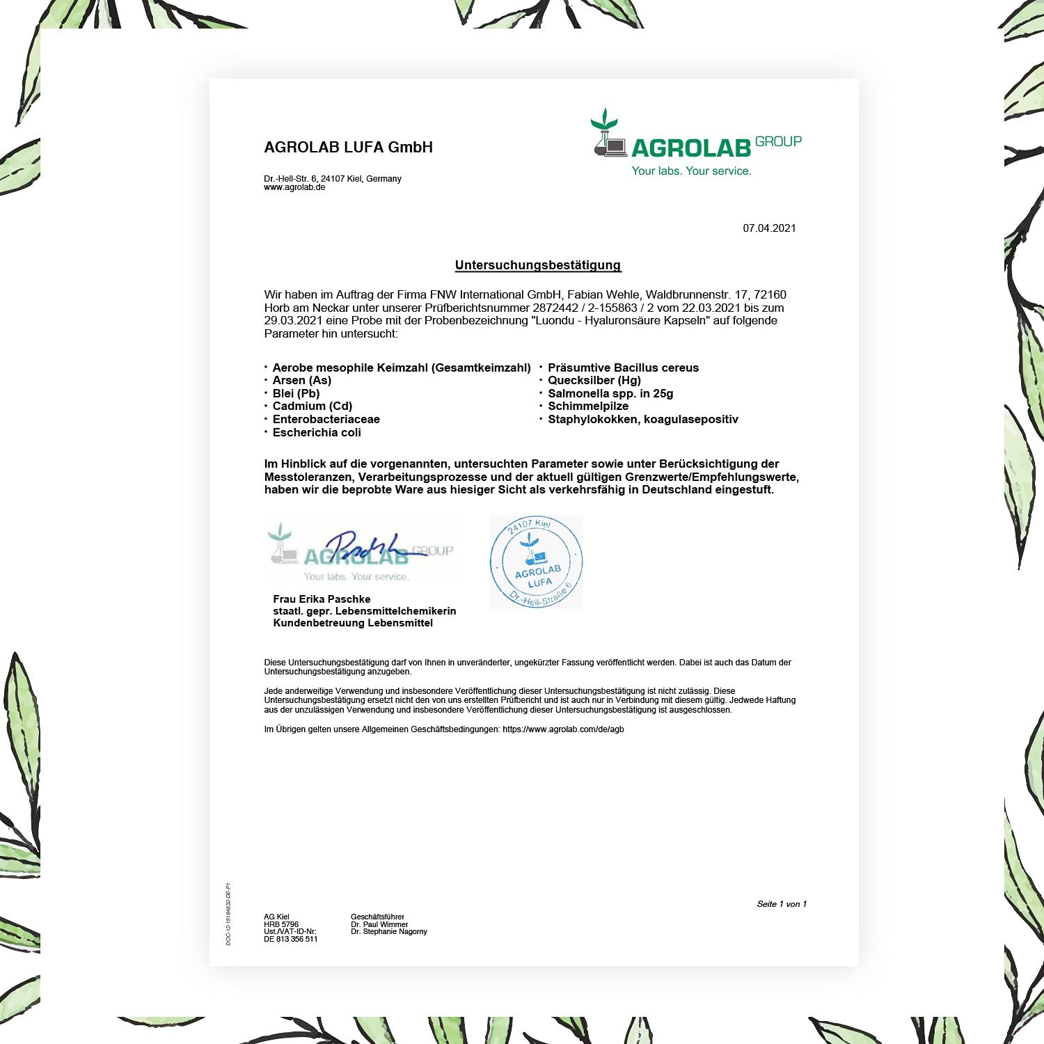 Hyaluron Hochdosiert - 90 Kapseln - 500mg Hyaluronsäure pro Kapsel - Luondu®