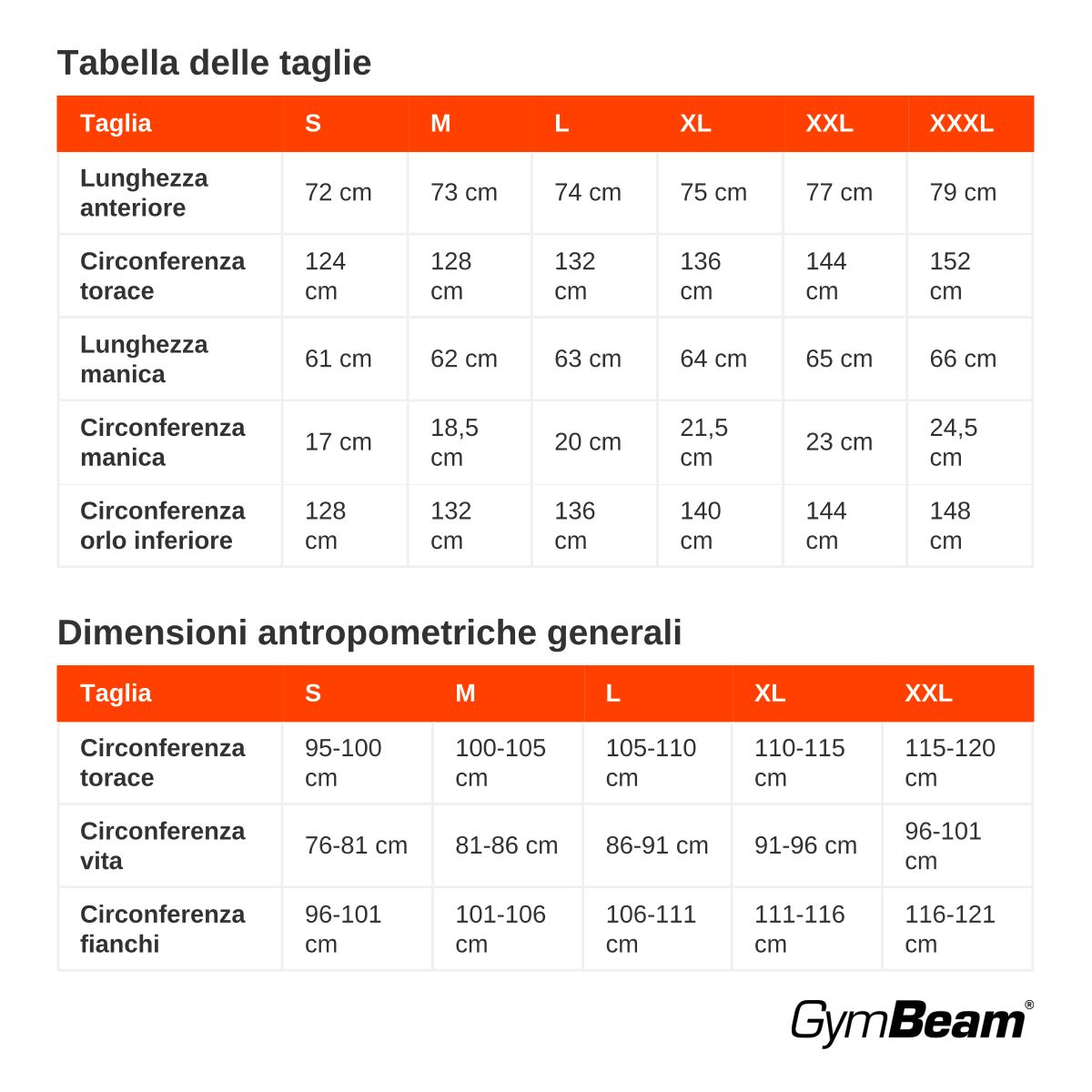 GymBeam Sweatshirt Herren Oversized ohne Kapuze in Grey