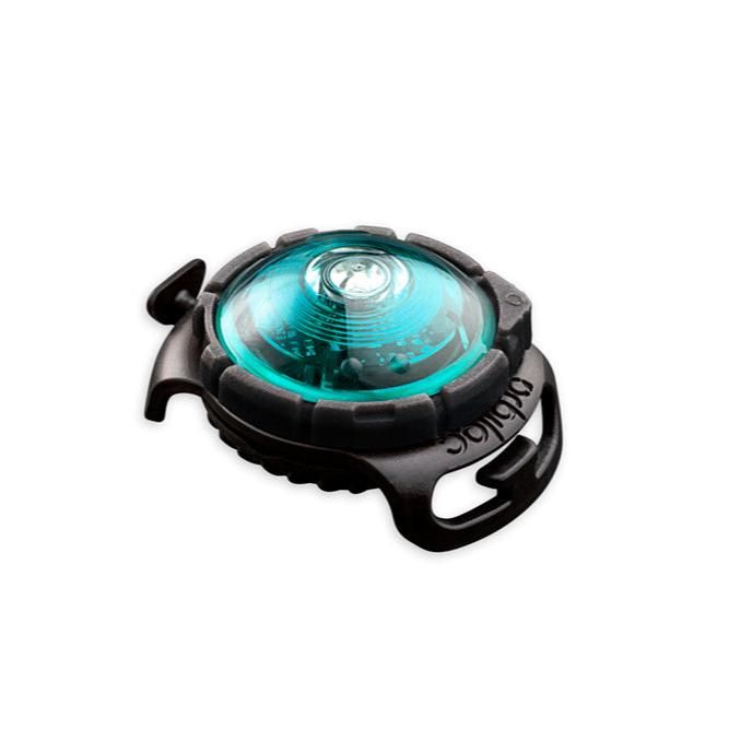 Orbiloc Sicherheitslicht Dog Dual Turquoise