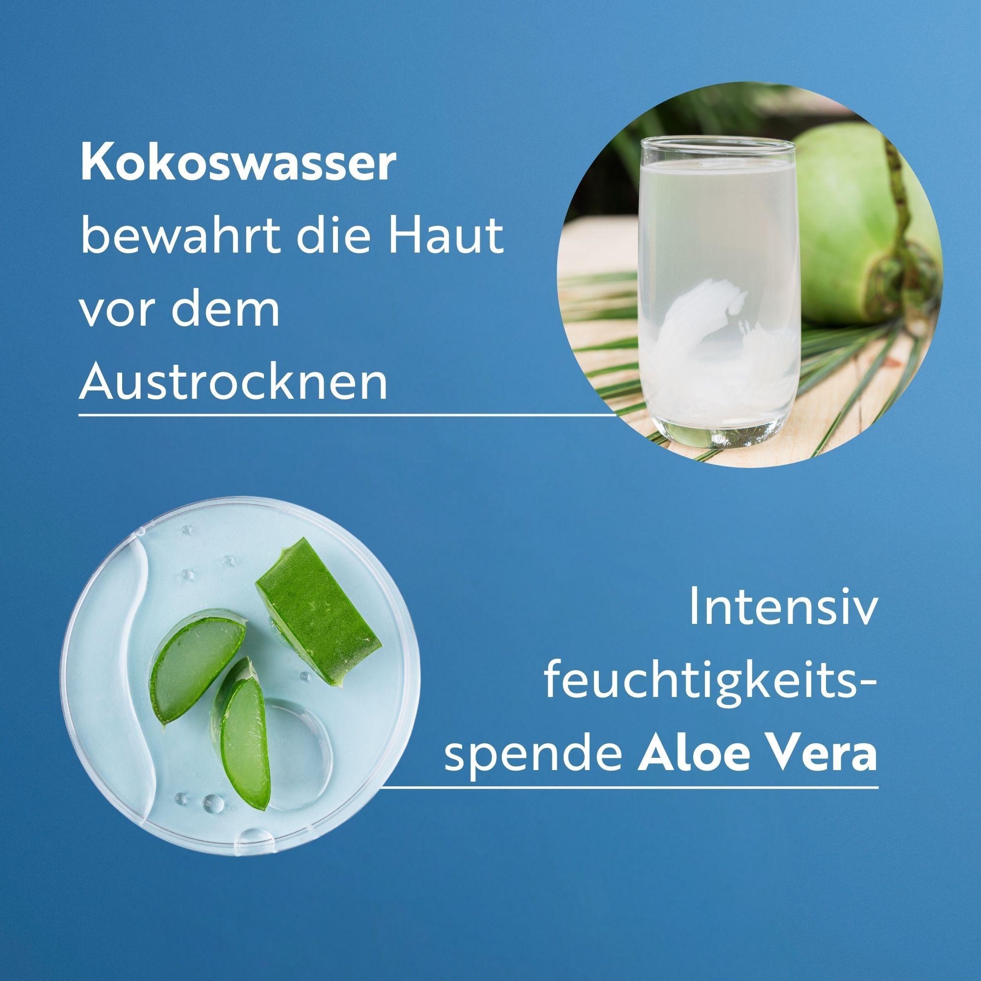 Kokoswasser in Glas, Aloe Vera Blätter. Text: Kokoswasser bewahrt die Haut vor dem Austrocknen. Intensiv feuchtigkeitsspendende Aloe Vera.