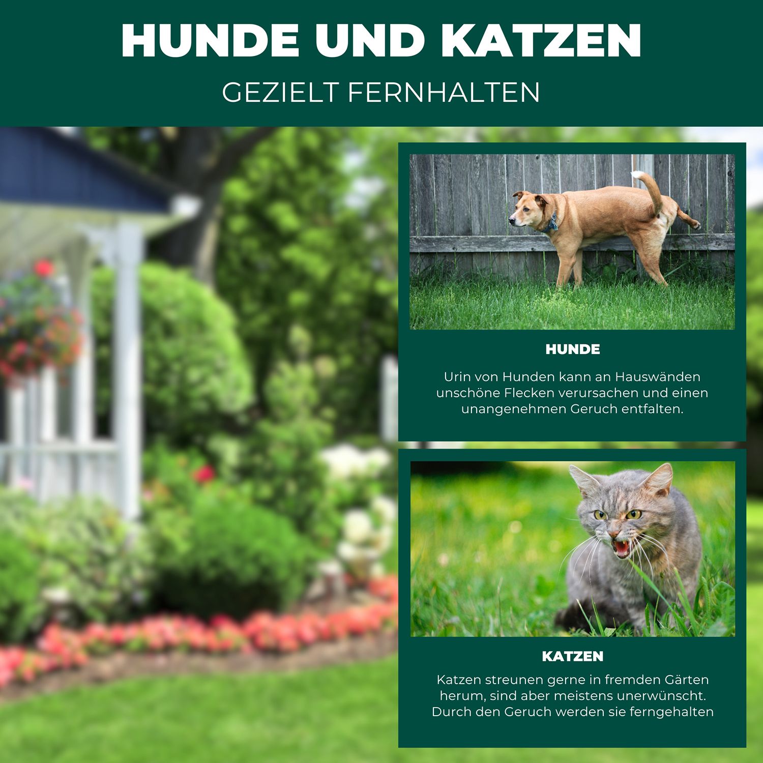 SILBERKRAFT Hunde & Katzen Stopp Ex