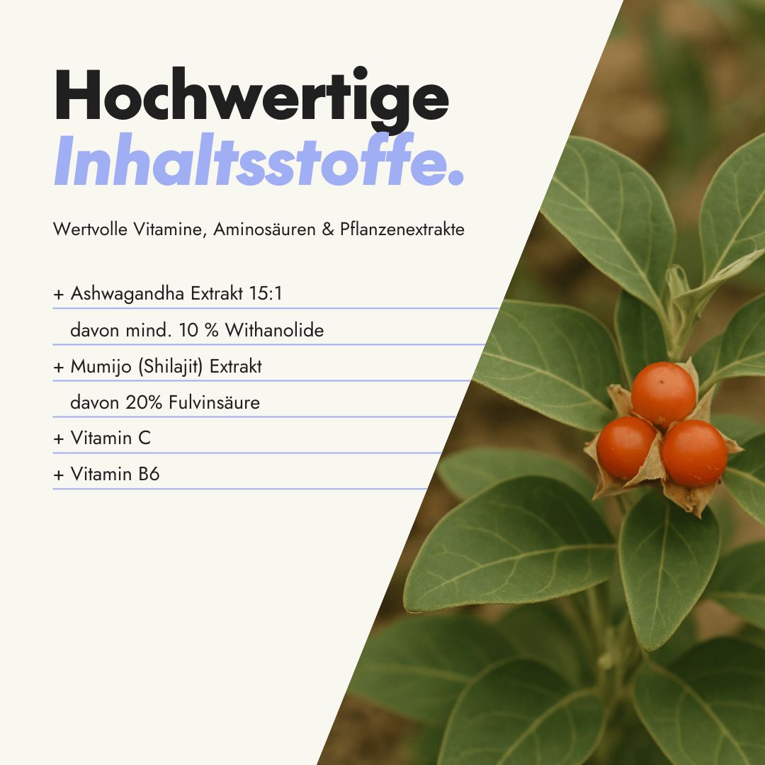 serotalin Active Balance Ashwa Recharge | Für Nerven & Balance | Ashwagandha & Vitamine | Vegan