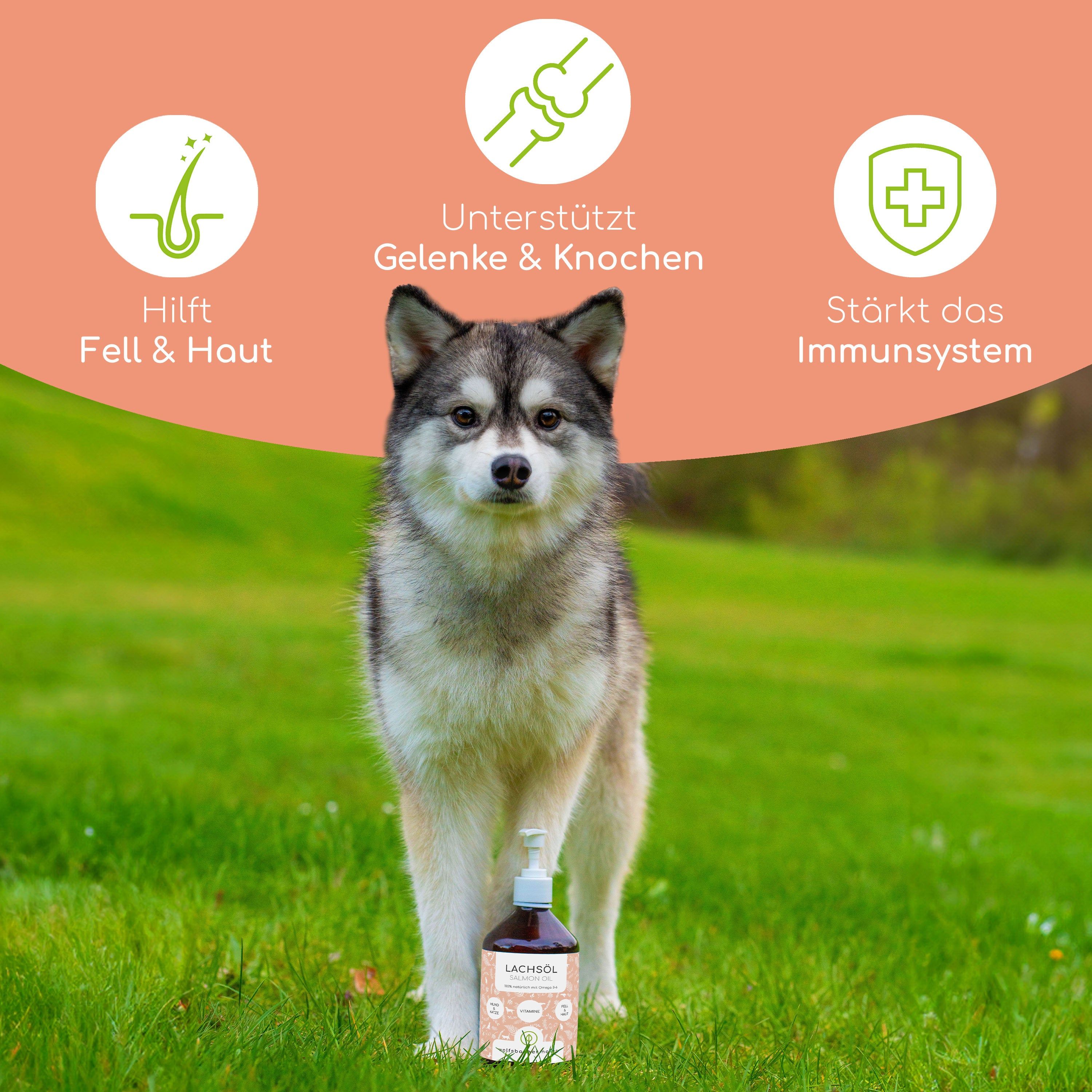 Wolfsbacher Natur Lachsöl