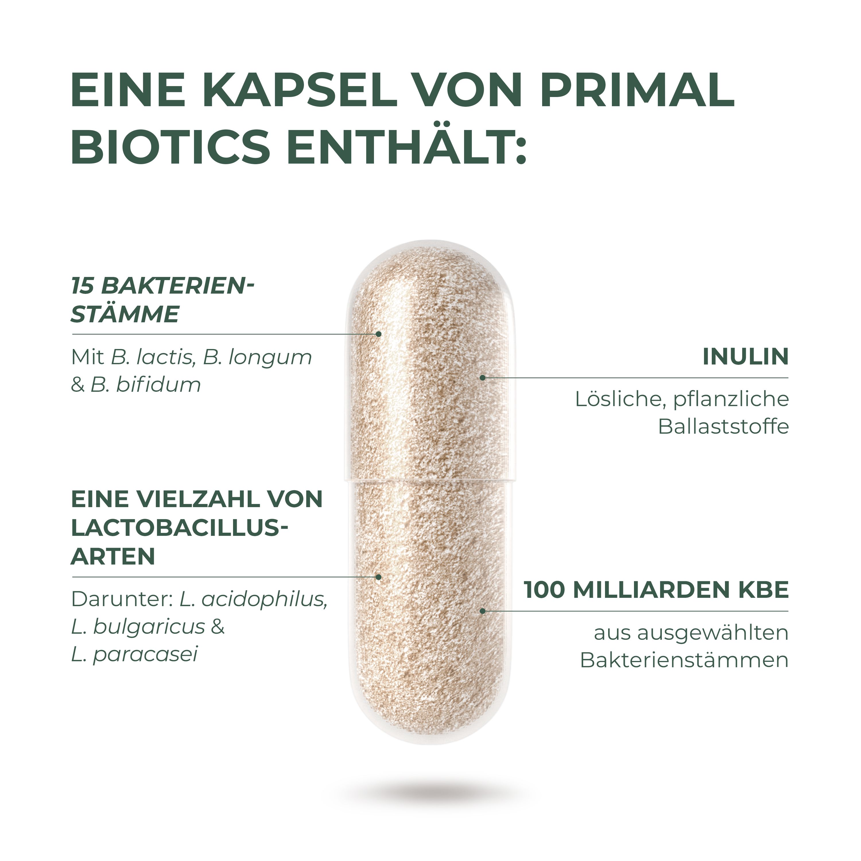 Nahaufnahme einer Kapsel. Aufschrift: 15 Bakterienstämme, Inulin, 100 Milliarden KBE.