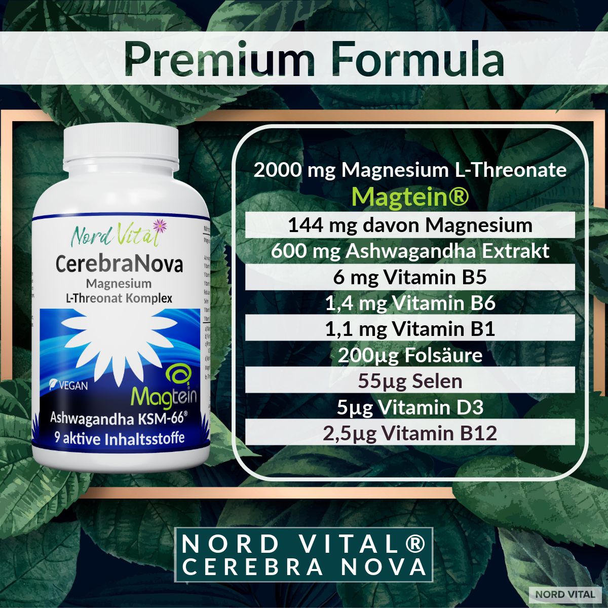 Nord Vital CerebraNova - 2000mg Magtein Magnesium L-Threonat, 600 mg Ashwagandha & Vitamin B Komplex