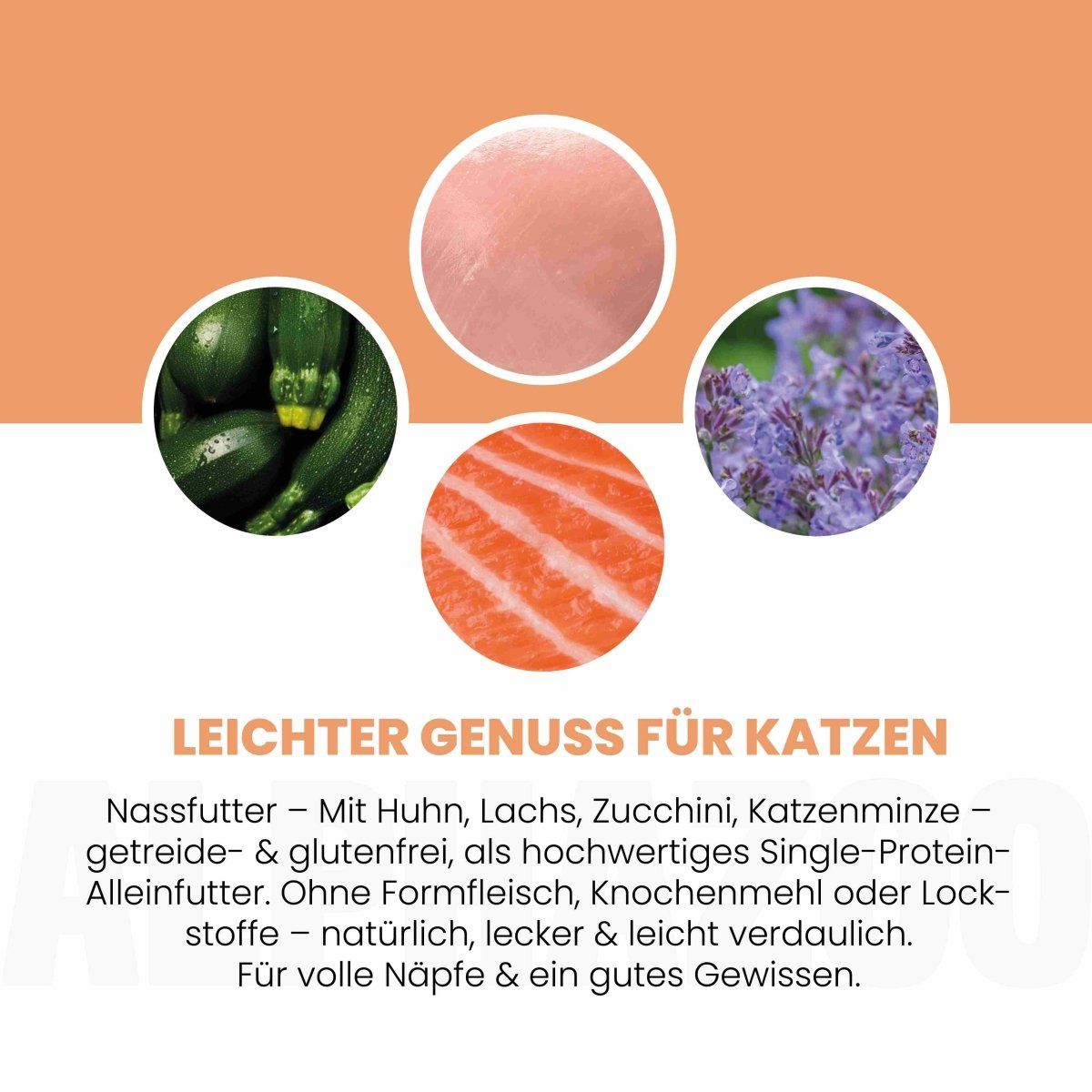alphazoo Lachs + Huhn Nassfutter für Katze