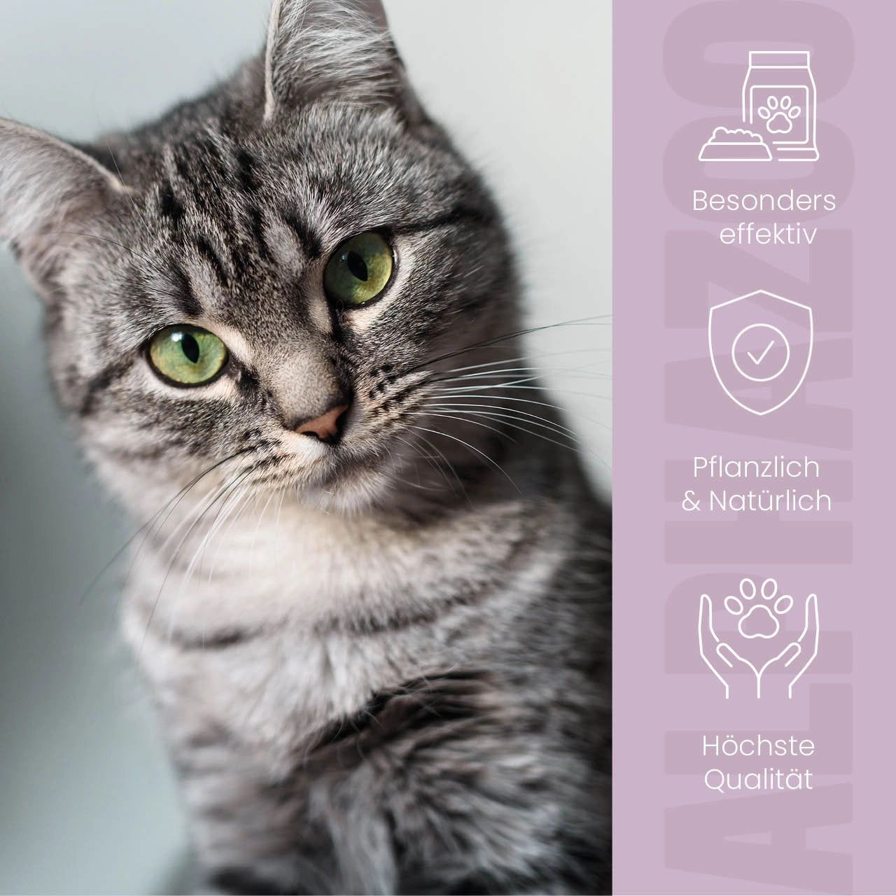 Graue Katze mit grünen Augen. Text: Besonders effektiv, pflanzlich & natürlich, höchste Qualität.