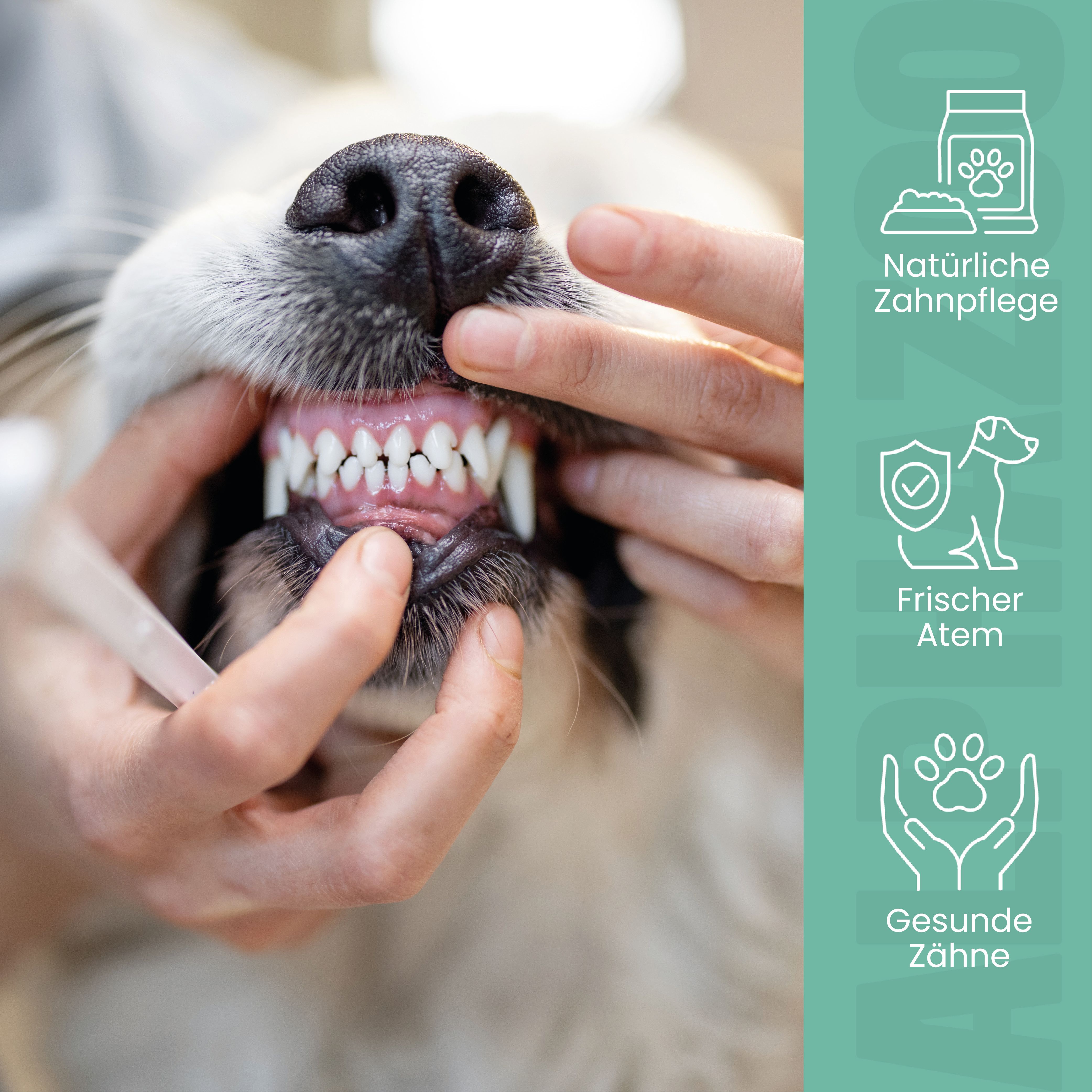 alphazoo Zähne Zeigen Dentalsticks für Hunde – Zahnpflege & Anti Plaque