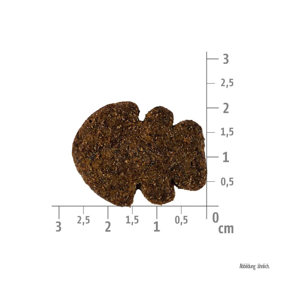 Brit Care Dog - Crunchy Cracker - Insects with Salmon enriched with Thyme