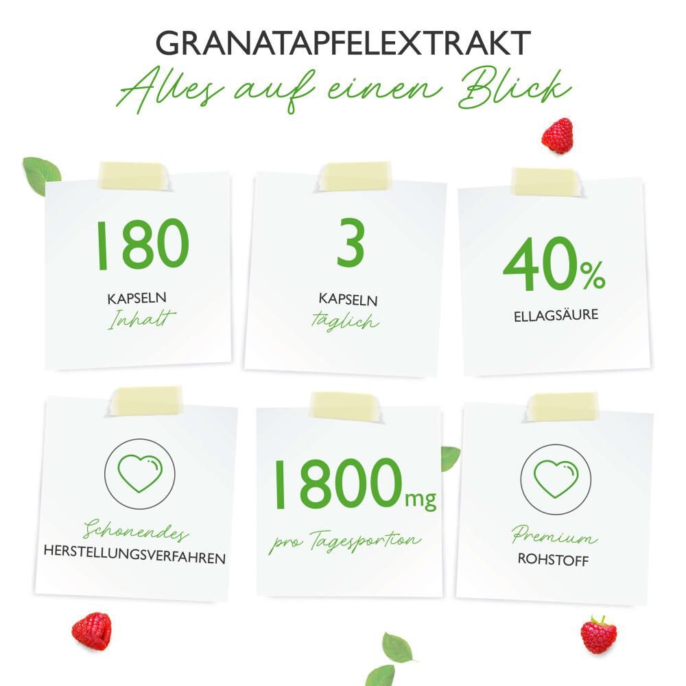 vit4ever Granatapfel Extrakt 180 St Kapseln