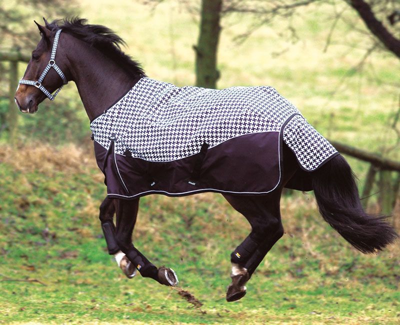 Pferdedecke mit schwarz-weißem Muster auf einem galoppierenden Pferd. Schwarzer unterer Teil. Weiße Paspelierung.