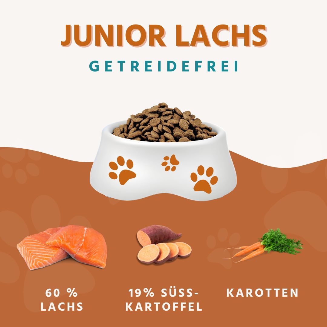 Schüssel mit Trockenfutter, umgeben von Lachs, Süßkartoffeln und Karotten. Text: Junior Lachs getreidefrei.