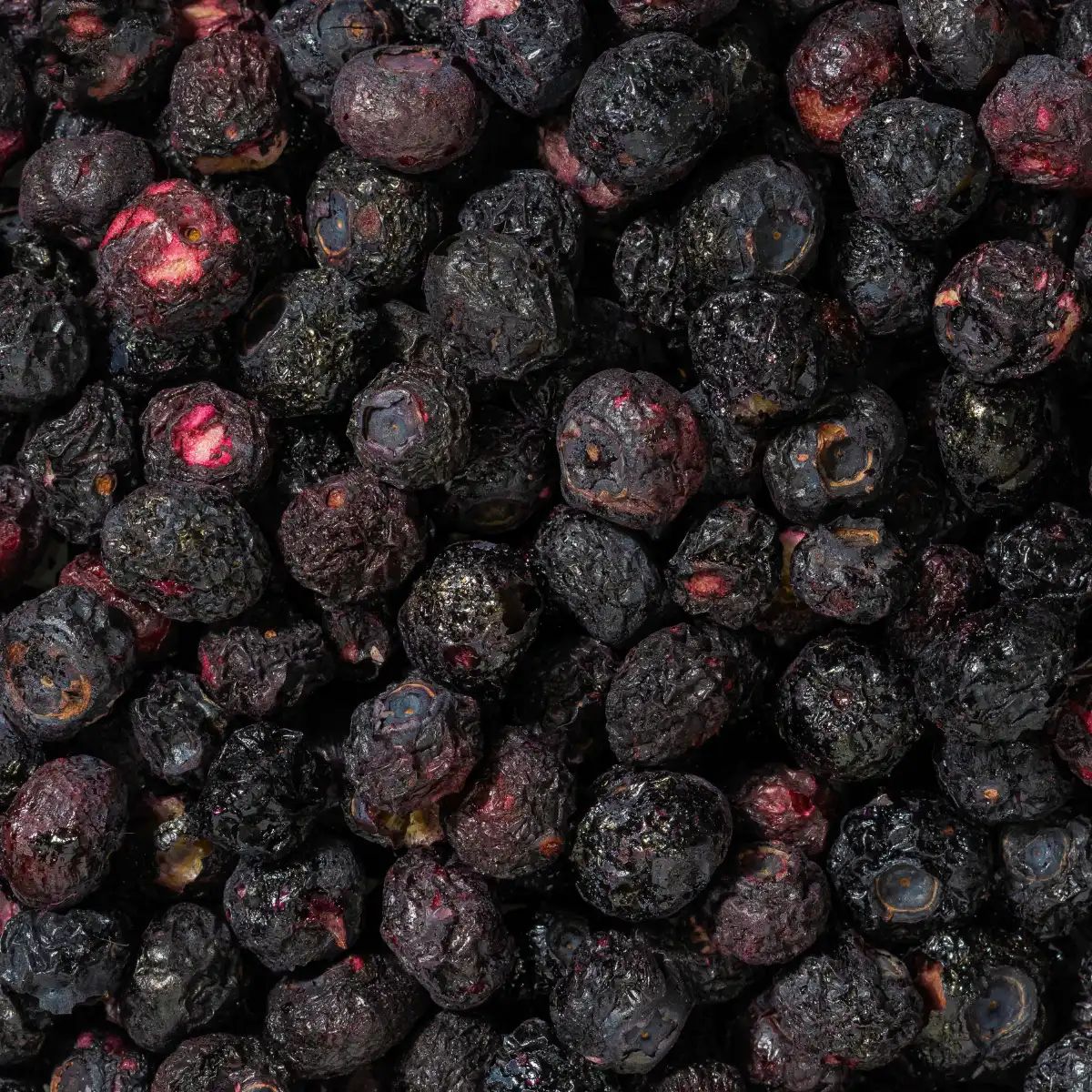 Nahaufnahme gefriergetrockneter Heidelbeeren. Dunkelviolette, runzelige Beeren.