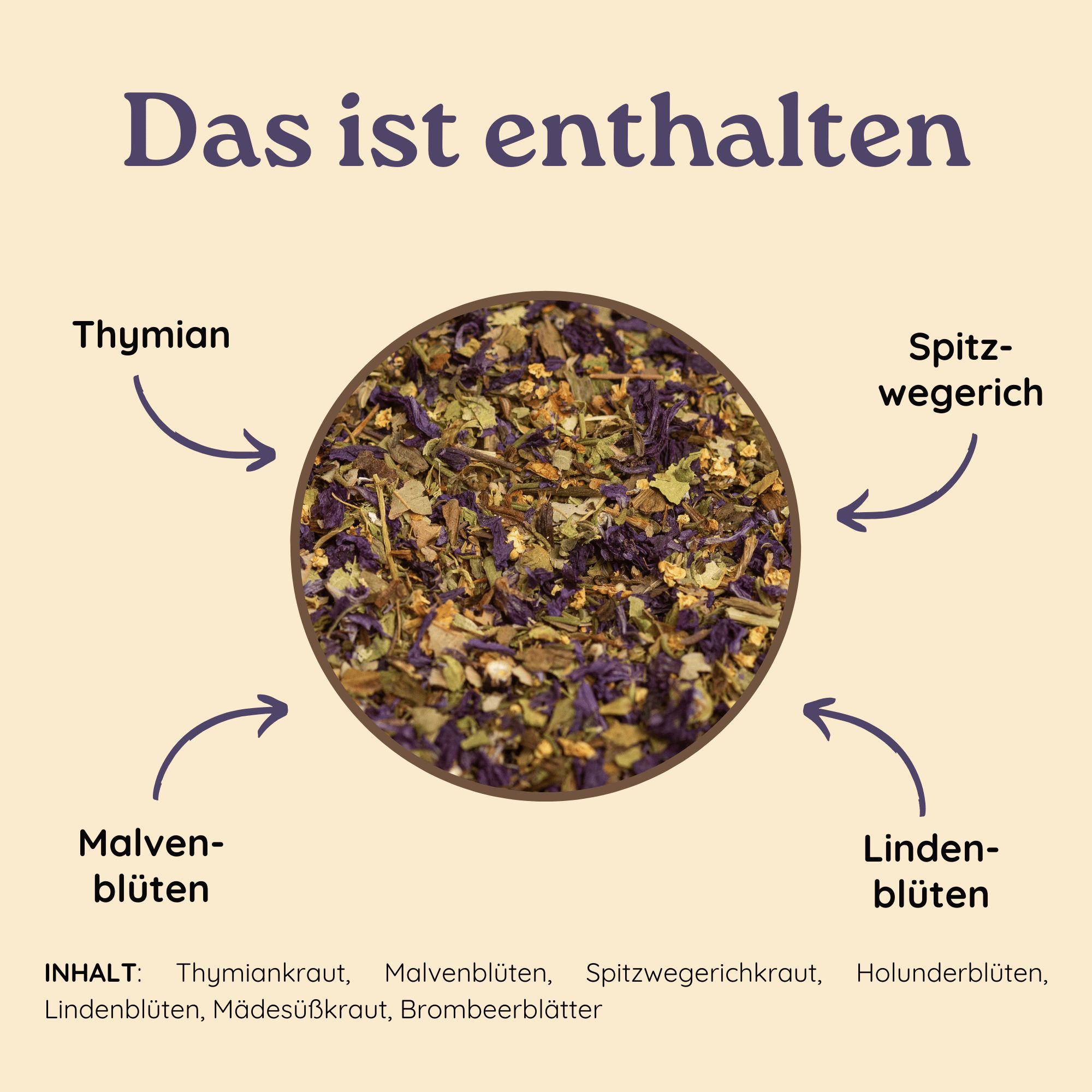 Schlosskräuter Bronchialtee mit Thymian | Hustentee bei Halsschmerzen, Husten & Erkältungen