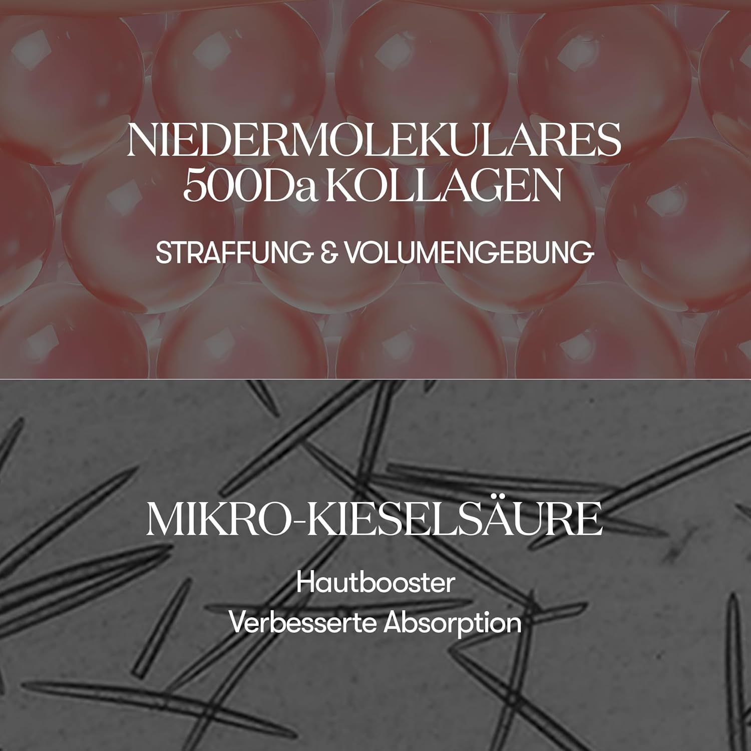 VT Collagen REEDLE SHOT 100