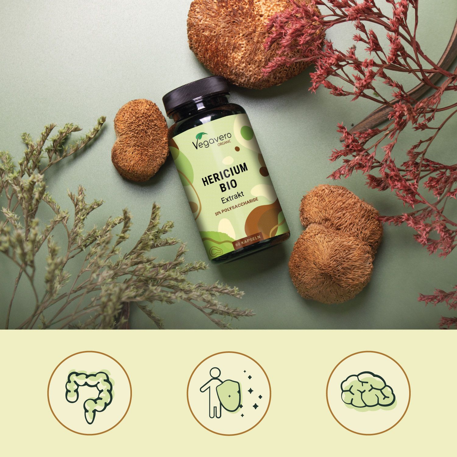 Produktabbildung mit Hericium Bio Extrakt Kapseln, umgeben von Pilzen und Pflanzen. Darstellung der Vorteile.