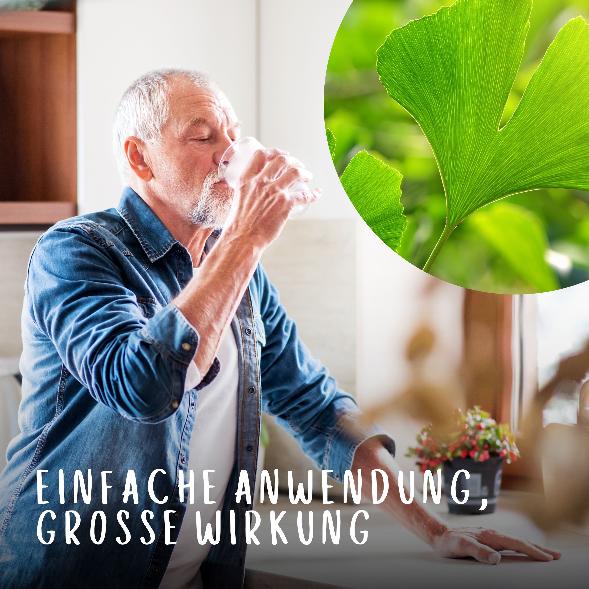 Älterer Mann trinkt Wasser. Ginkgoblatt im Hintergrund. Text: Einfache Anwendung, große Wirkung.