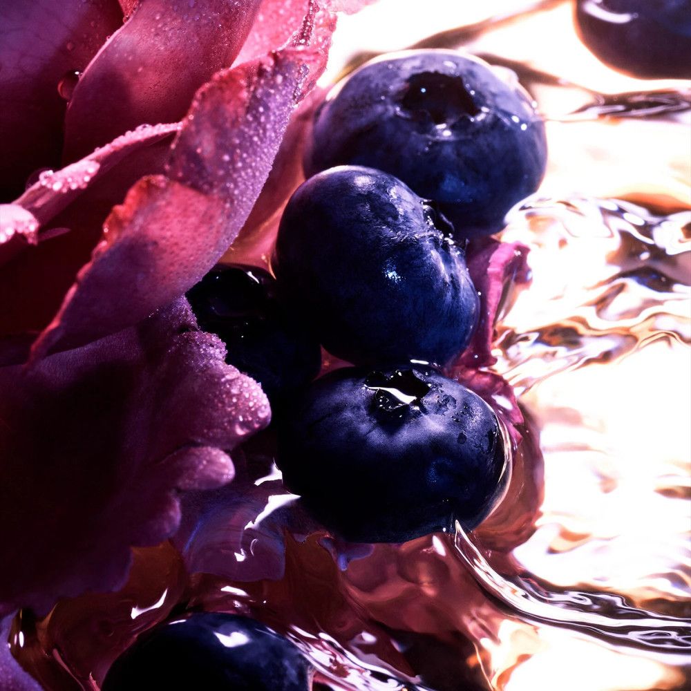 Nahaufnahme von Blaubeeren im Wasser, umgeben von einer rosa Blüte. Die Beeren sind dunkelblau und glänzend.