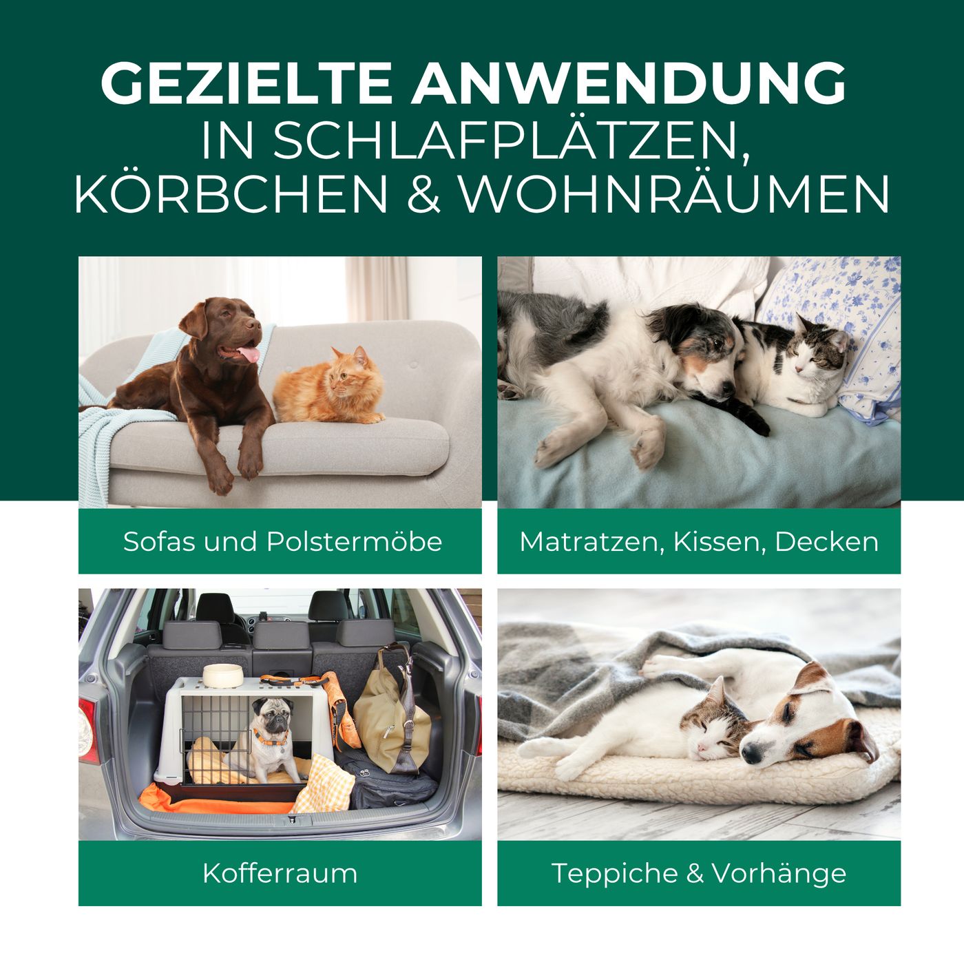 Bilder zeigen Hunde und Katzen in verschiedenen Umgebungen: Sofa, Matratze, Kofferraum, Teppich. Text: Gezielte Anwendung.