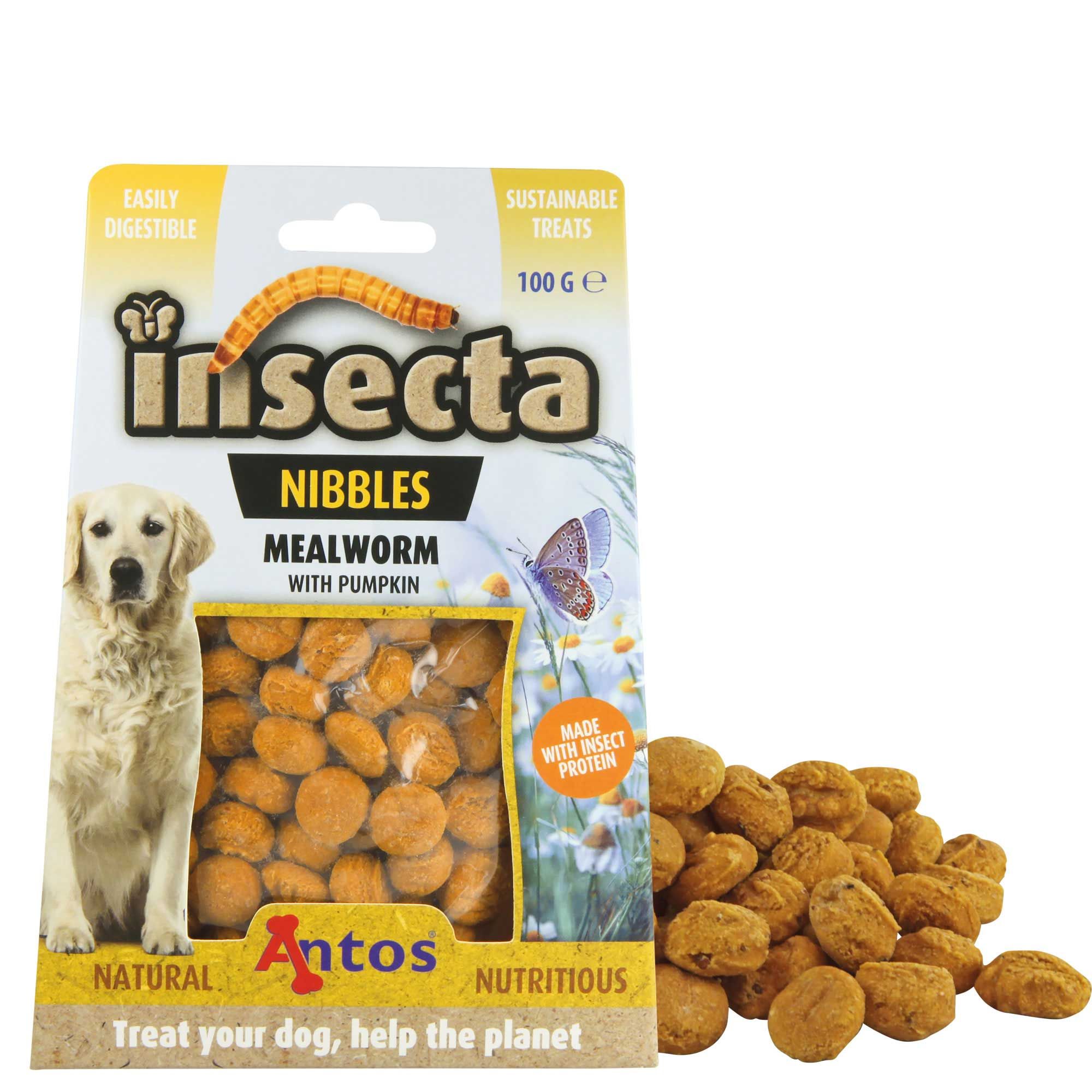 Insecta Nibbles Mealworm (Mehlwurm und Kürbis) Hundekekse - hochwertiges Protein