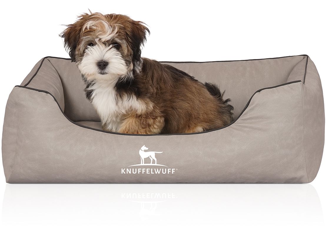 Beiges Hundebett mit schwarzer Umrandung. Logo: Knuffelwuff. Ein Hund sitzt im Bett. Auf weißem Hintergrund.