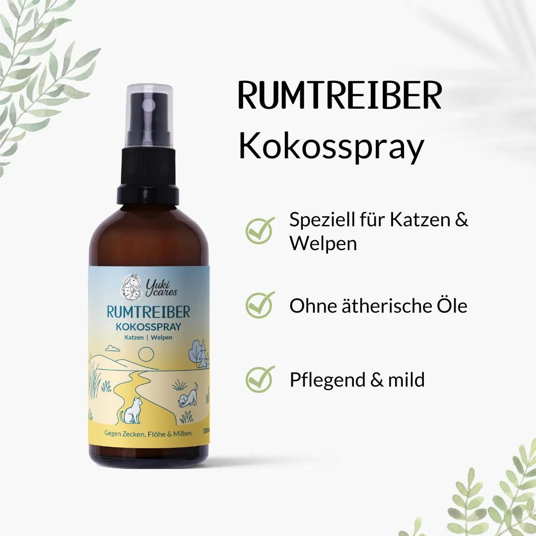Braune Sprühflasche mit Etikett. Aufschrift: Rumtreiber Kokosspray. Text: Speziell für Katzen & Welpen, ohne ätherische Öle, pflegend.