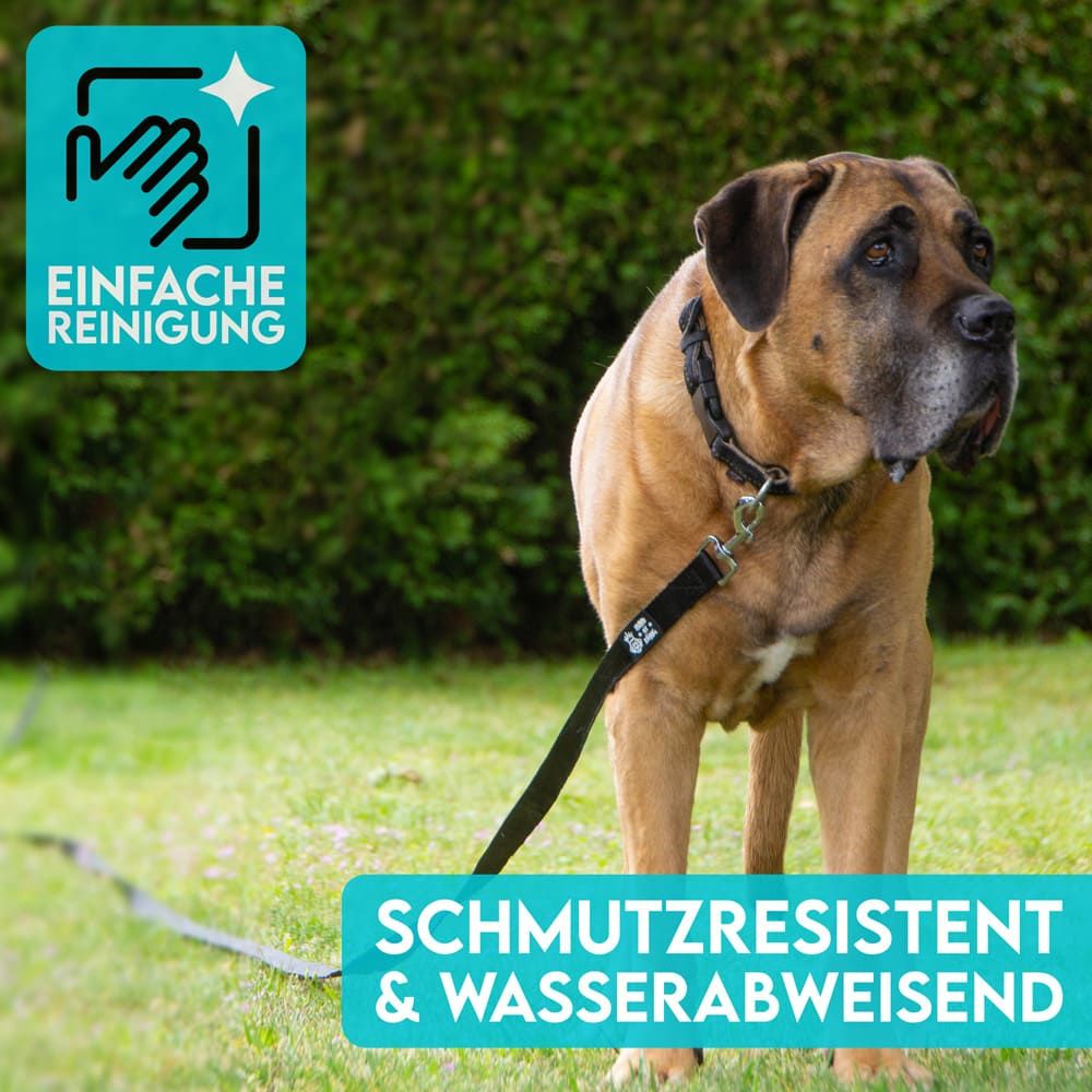 HUND IST KÖNIG® 10m Schleppleine Hund | Schleppleine 10m für Hunde mit gepolsterter Handschlaufe