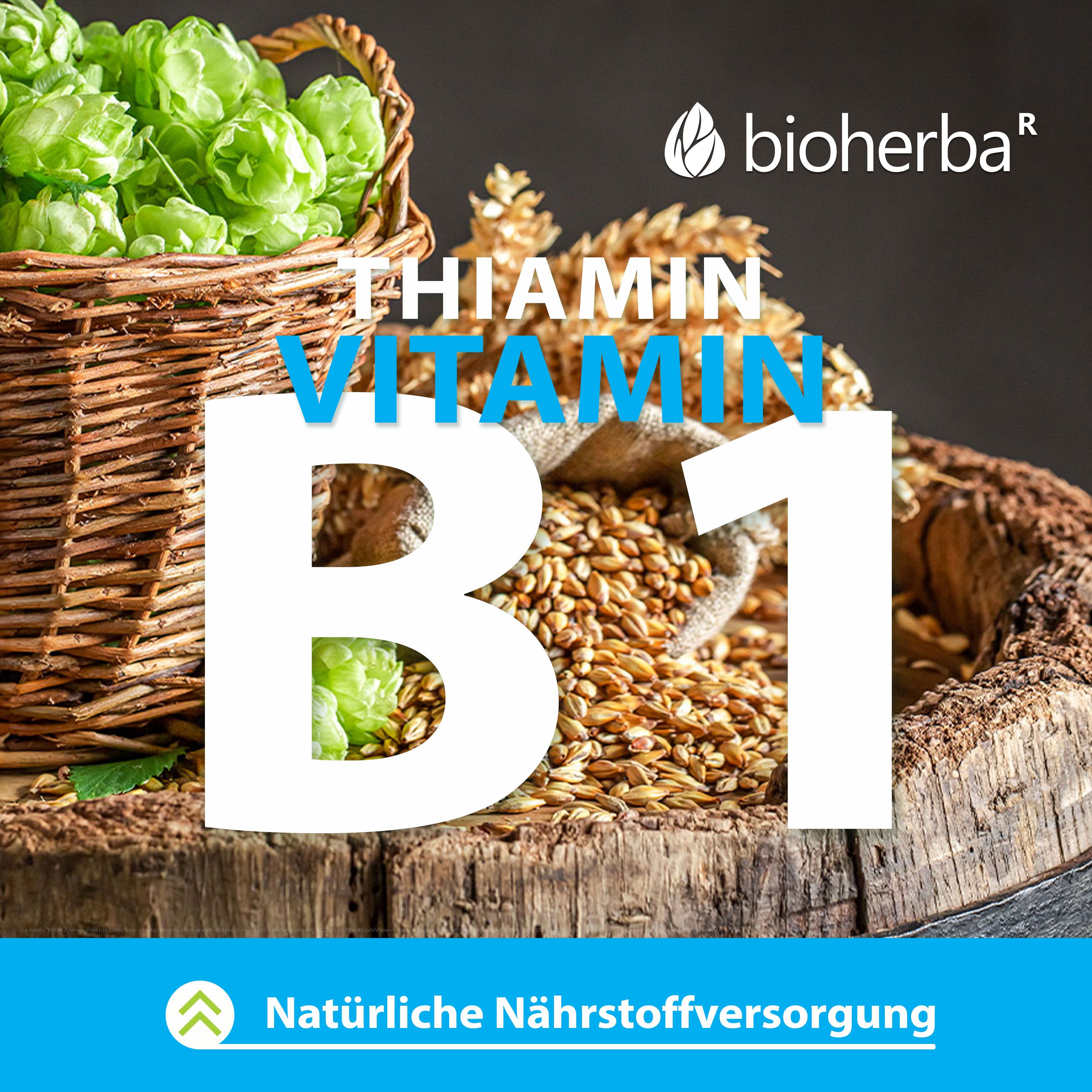 Bild mit Zutaten: Hopfen, Weizen und Vitamin B1. Aufschrift: Vitamin B1. Logo: Bioherba.