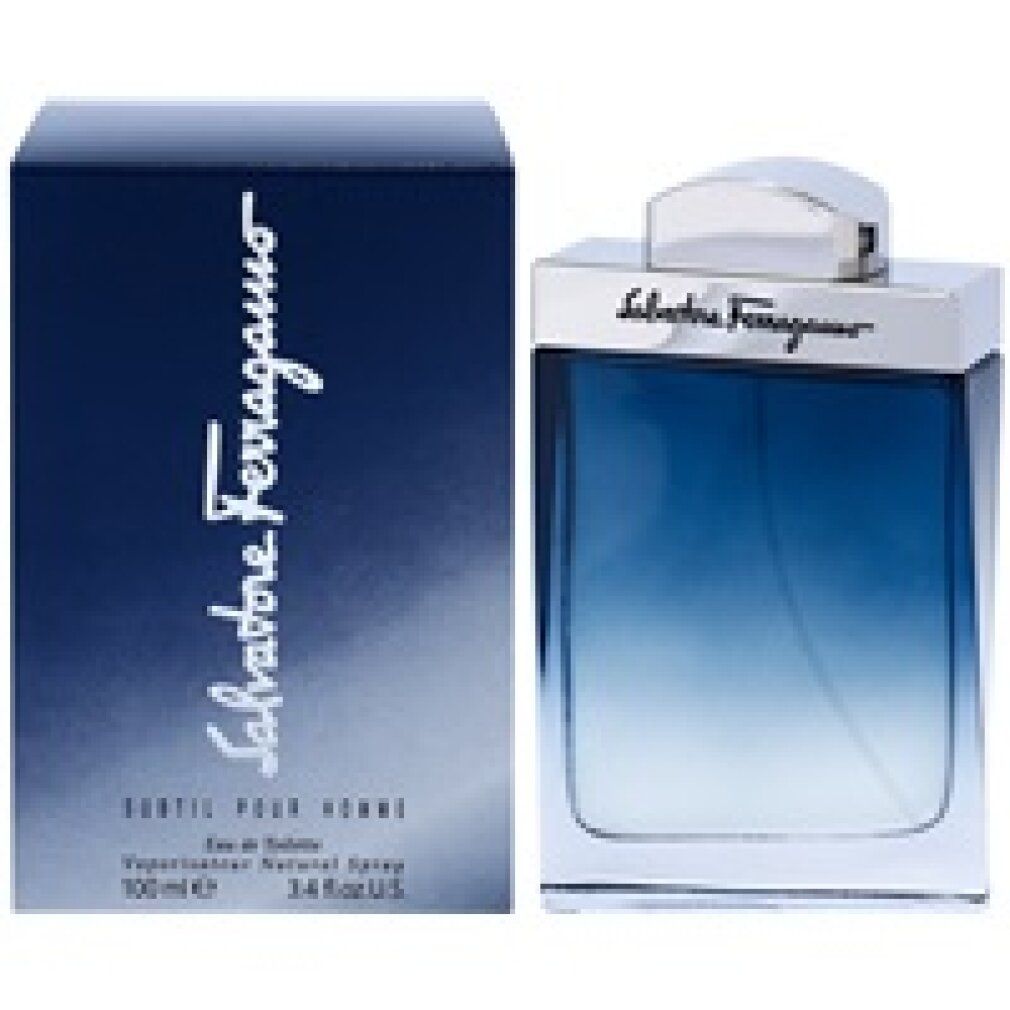 Salvatore Ferragamo Subtil Pour Homme Eau de Toilette  Spray
