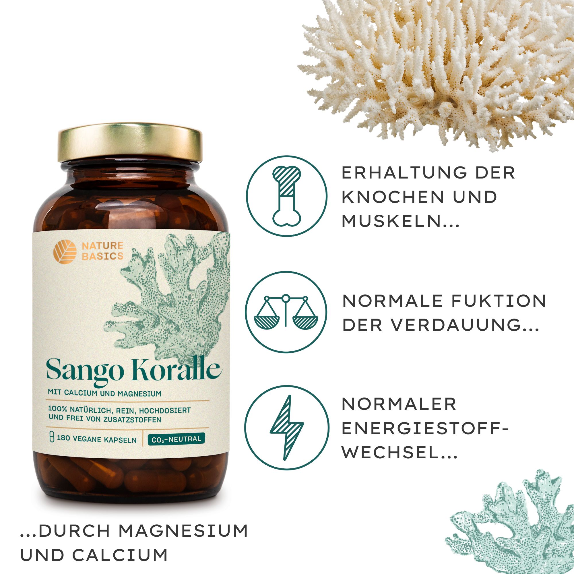 NATURE BASICS® - Hochwertiges Sango Koralle Magnesium Komplex mit Calcium