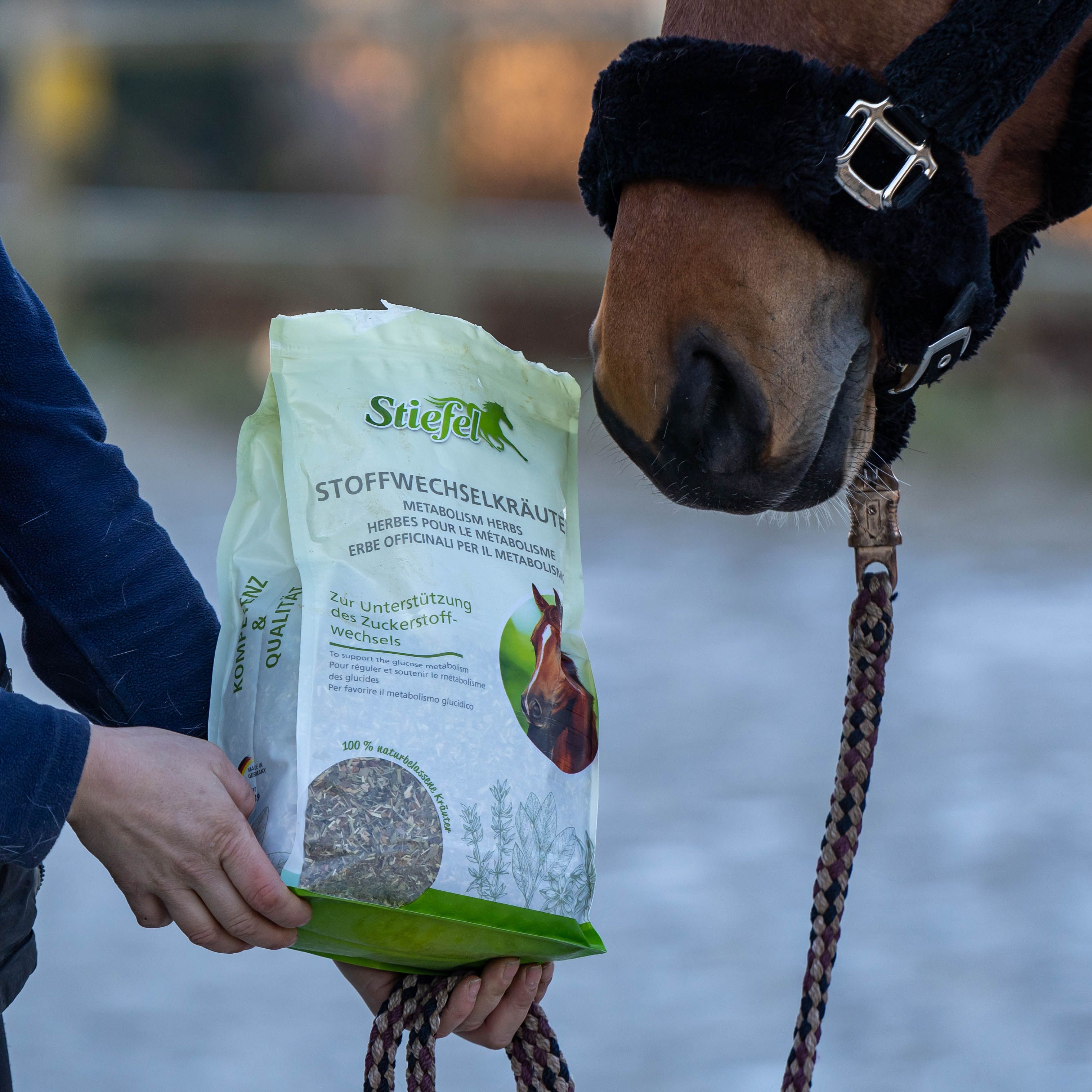Person hält eine grüne Verpackung mit Produktnamen. Pferd im Hintergrund. Produktname und Logo deutlich sichtbar.