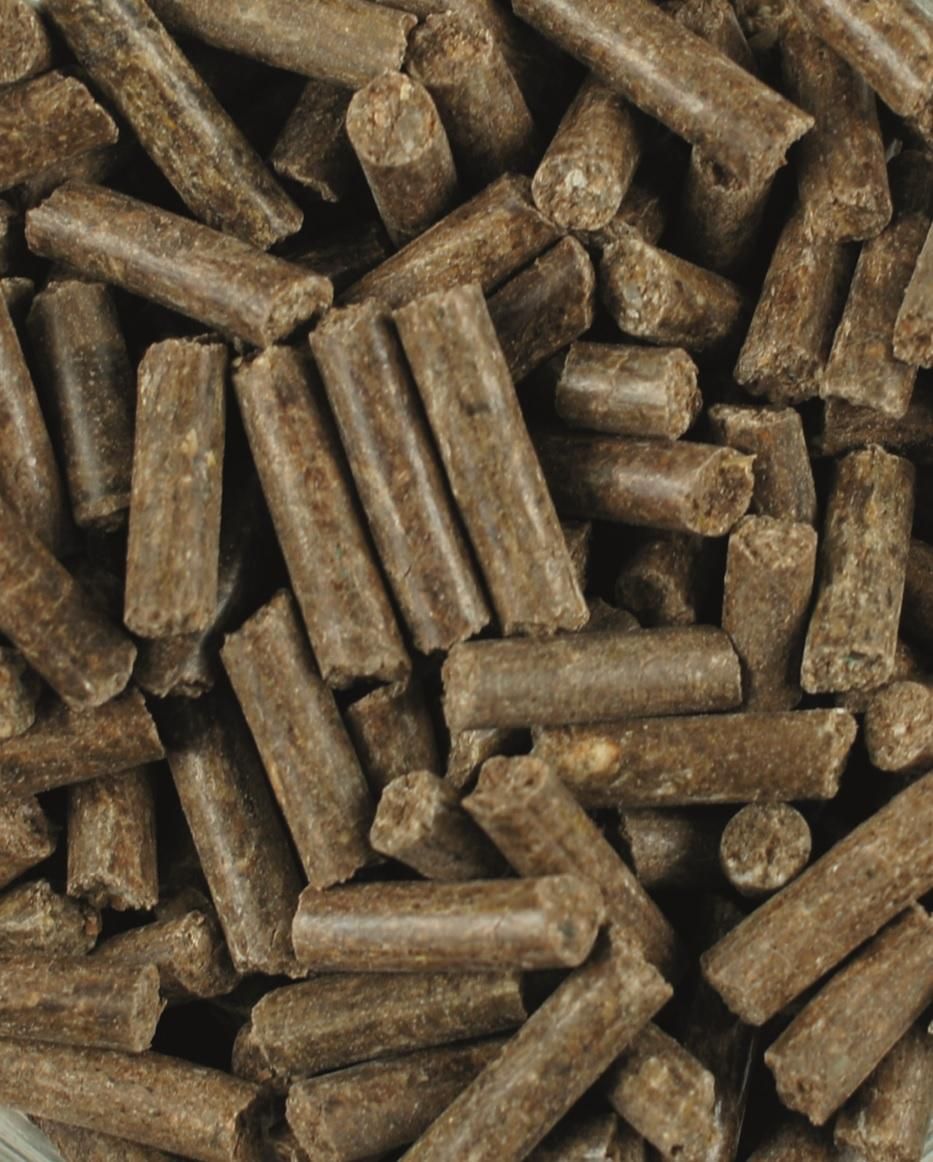 Zylindrische Pellets, braun. Nahaufnahme, viele Einzelteile.