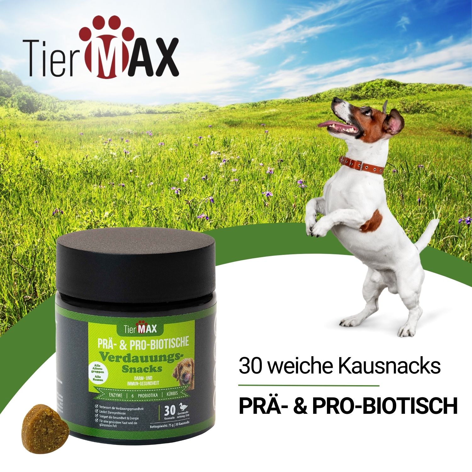 TierMax Prä- & Probiotische Verdauungs-Snacks, Dose und Snack. Hund springt. 30 weiche Kausnacks. Grün-schwarzes Etikett.