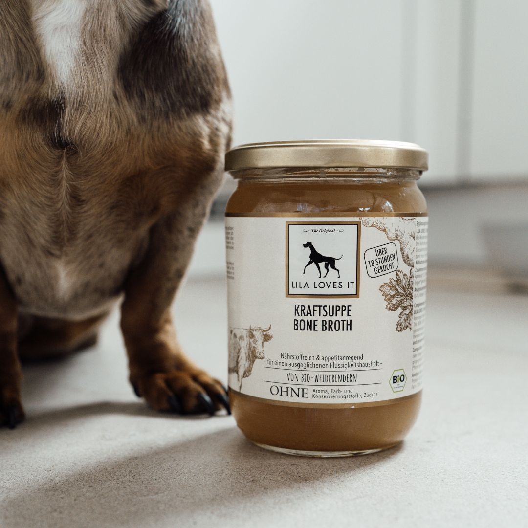 Glas mit goldfarbenem Deckel und Etikett. Hund sitzt neben dem Glas. Auf dem Etikett: Logo, Schriftzug 'Kraftsuppe Bone Broth' und Bio-Siegel.