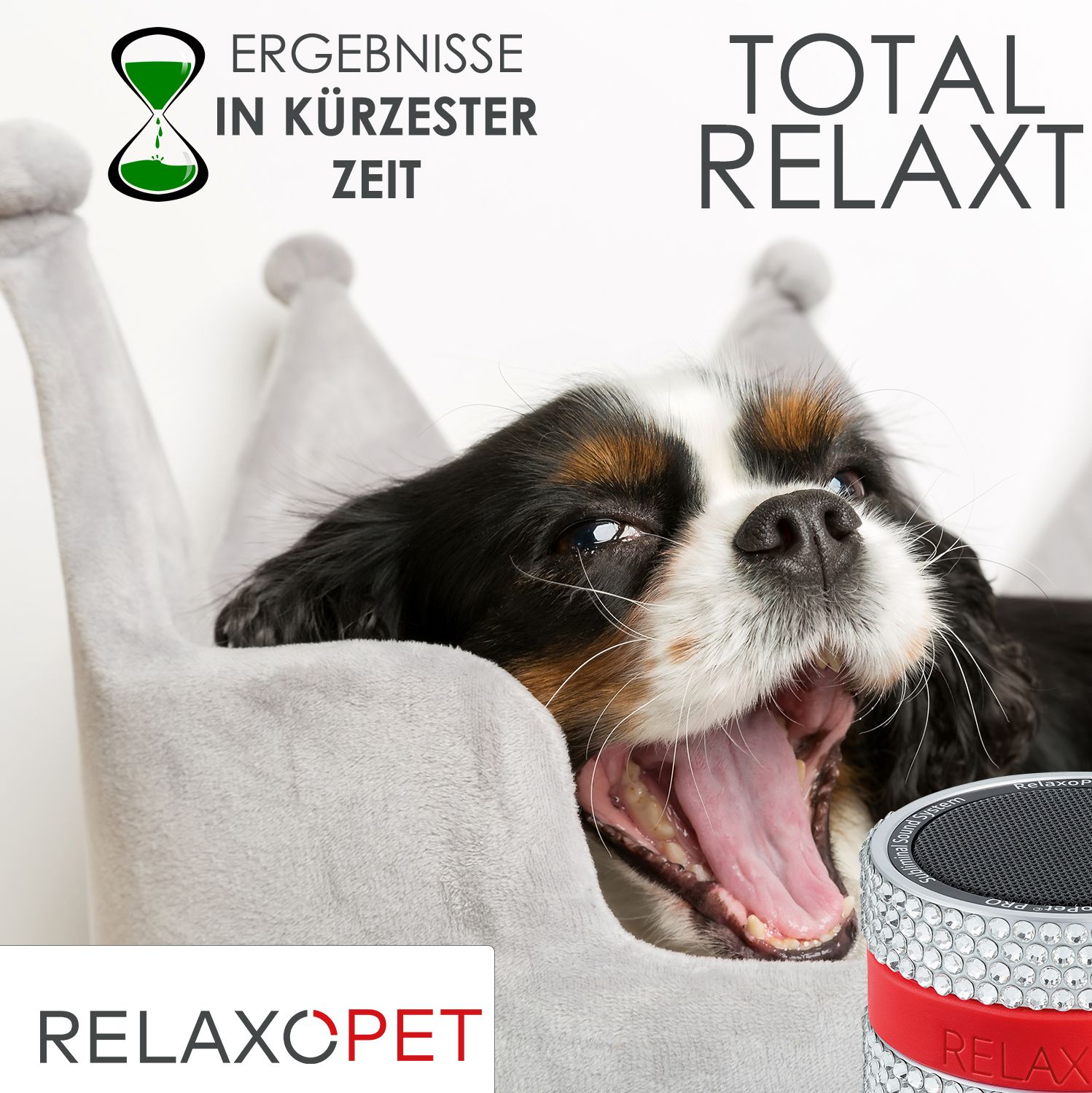 RelaxoPet PRO Entspannungssystem für Hunde