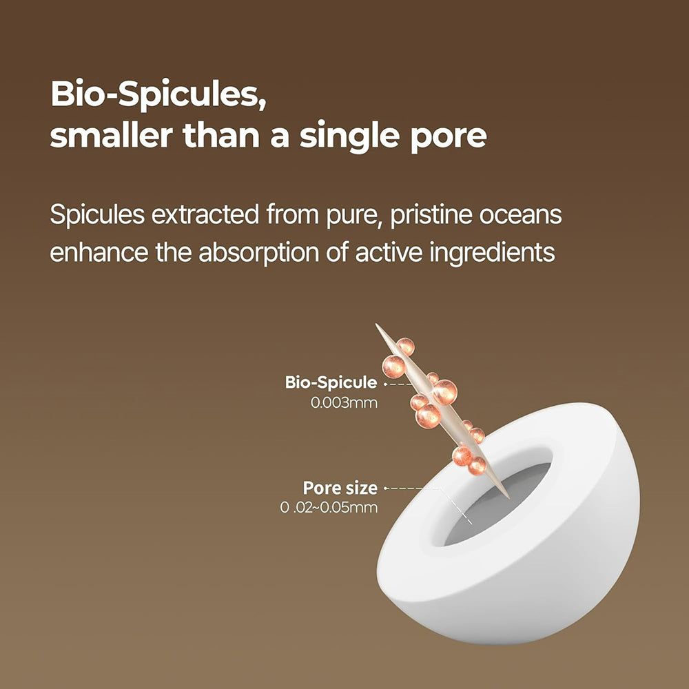 Illustration zeigt Bio-Spiculae (0,003mm) kleiner als Hautporen (0,02-0,05mm).