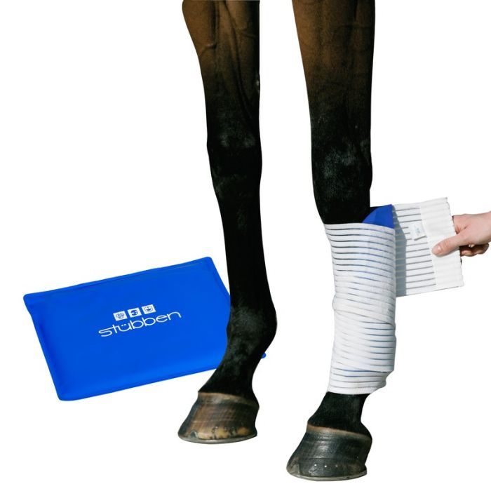 Pferdebein mit Bandage. Blaue Kühlkompresse daneben. Hand wickelt Bandage. Stübben Logo auf Kompresse.