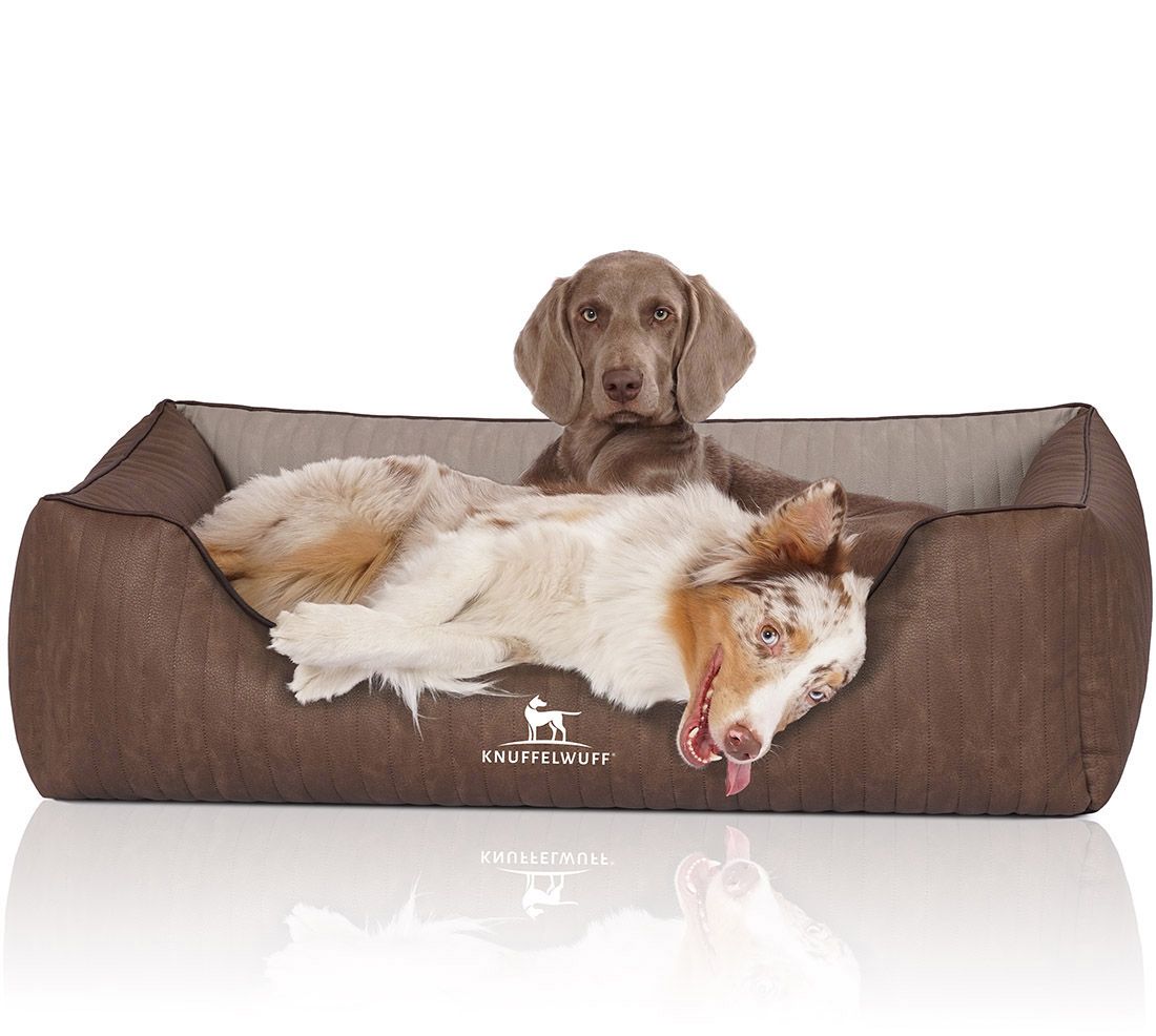 Braunes Hundebett mit zwei Hunden. Gepolstert, mit Knuffelwuff-Logo. Ein Hund liegt, einer sitzt.