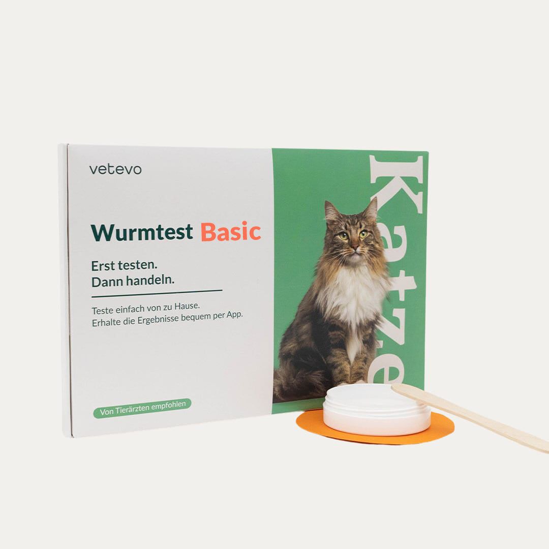 Wurmtest Katze