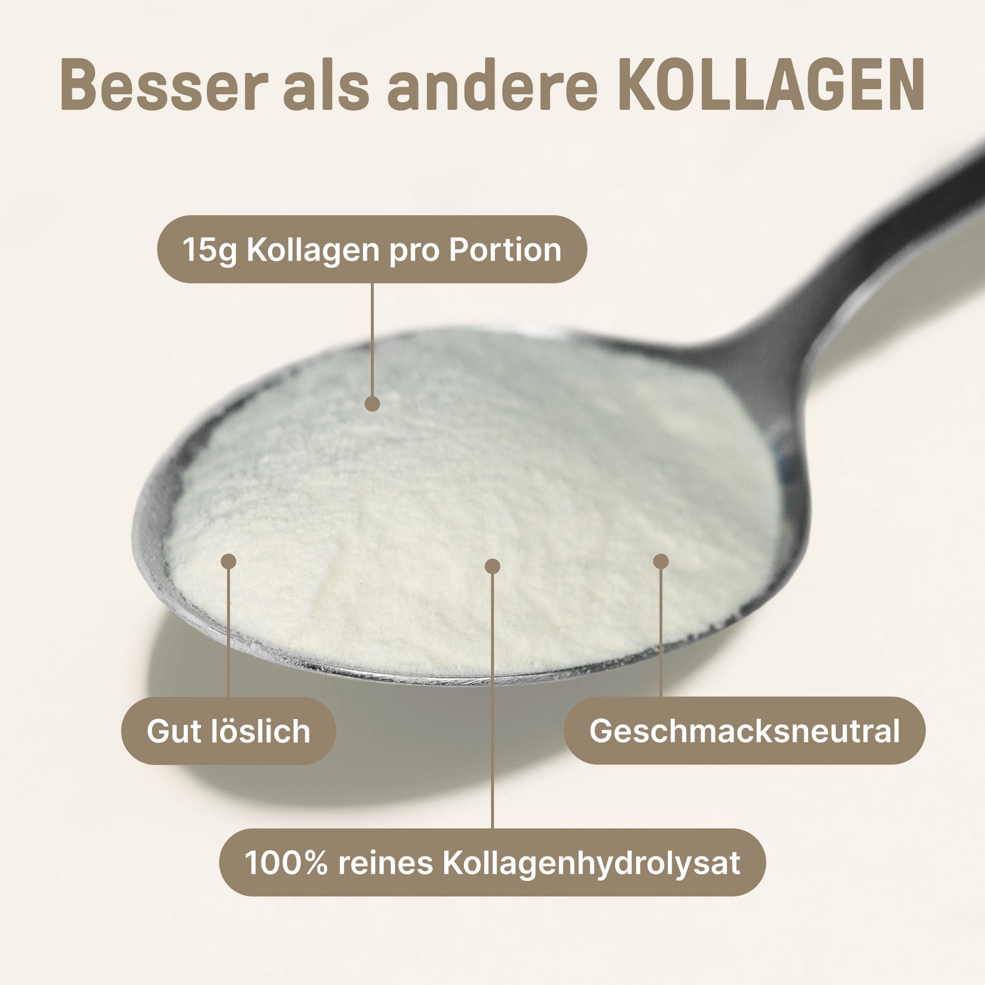 Löffel mit weißem Pulver. Text: 15g Kollagen pro Portion, gut löslich, geschmacksneutral, 100% reines Kollagenhydrolysat.