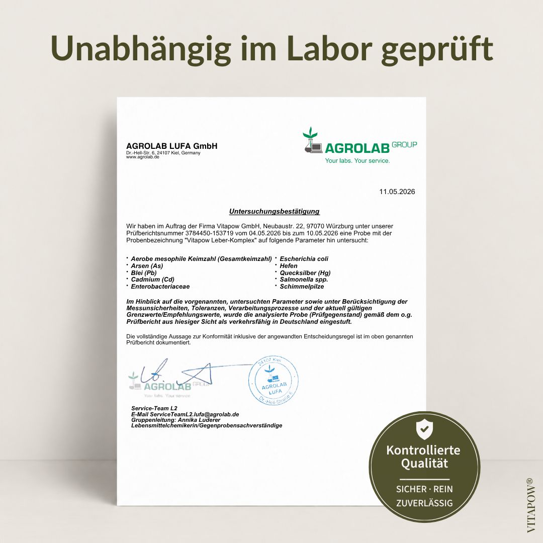 Zubereitung Leber Komplex: 1 Messlöffel in 150 ml Wasser. Zutatenliste mit Mariendistel, Cholin.