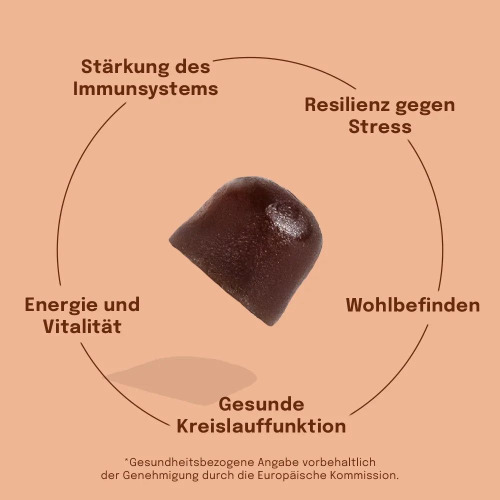 Sundt Reishi-Gummies