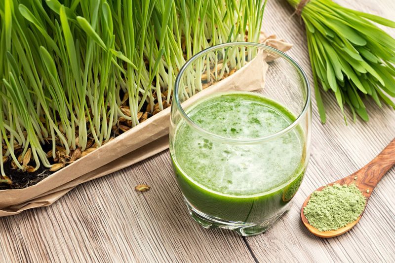nur.fit Gerstengras Pulver