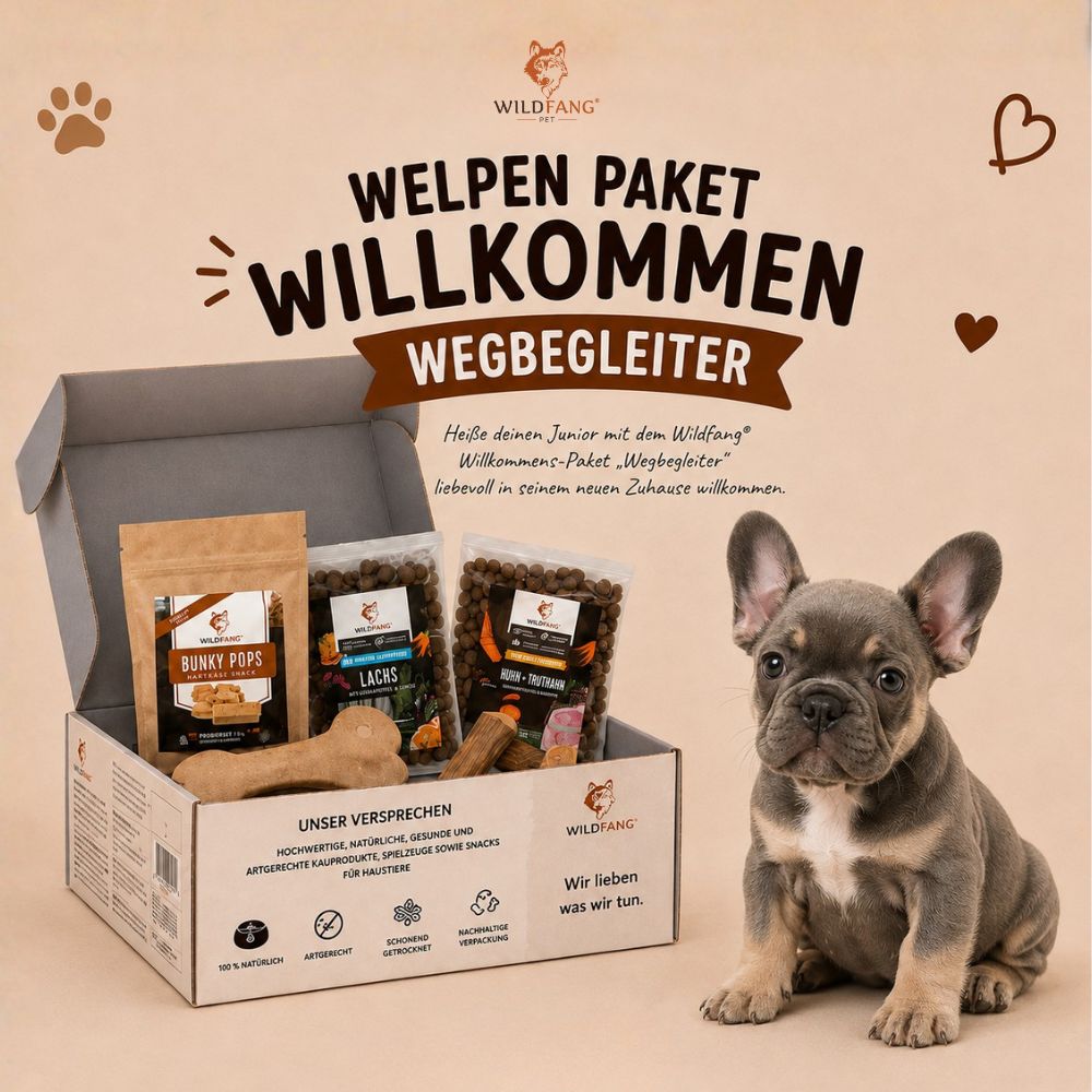 Welpen Paket "Willkommen Wegbegleiter" mit Trockenfutter, Kauknochen und Leckerlis, neben einem sitzenden Welpen.